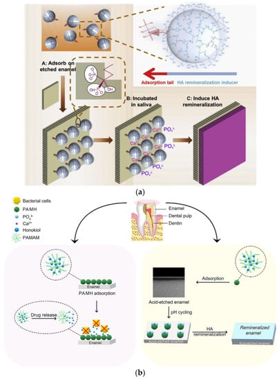 Pharmaceutics 15 00524 g026
