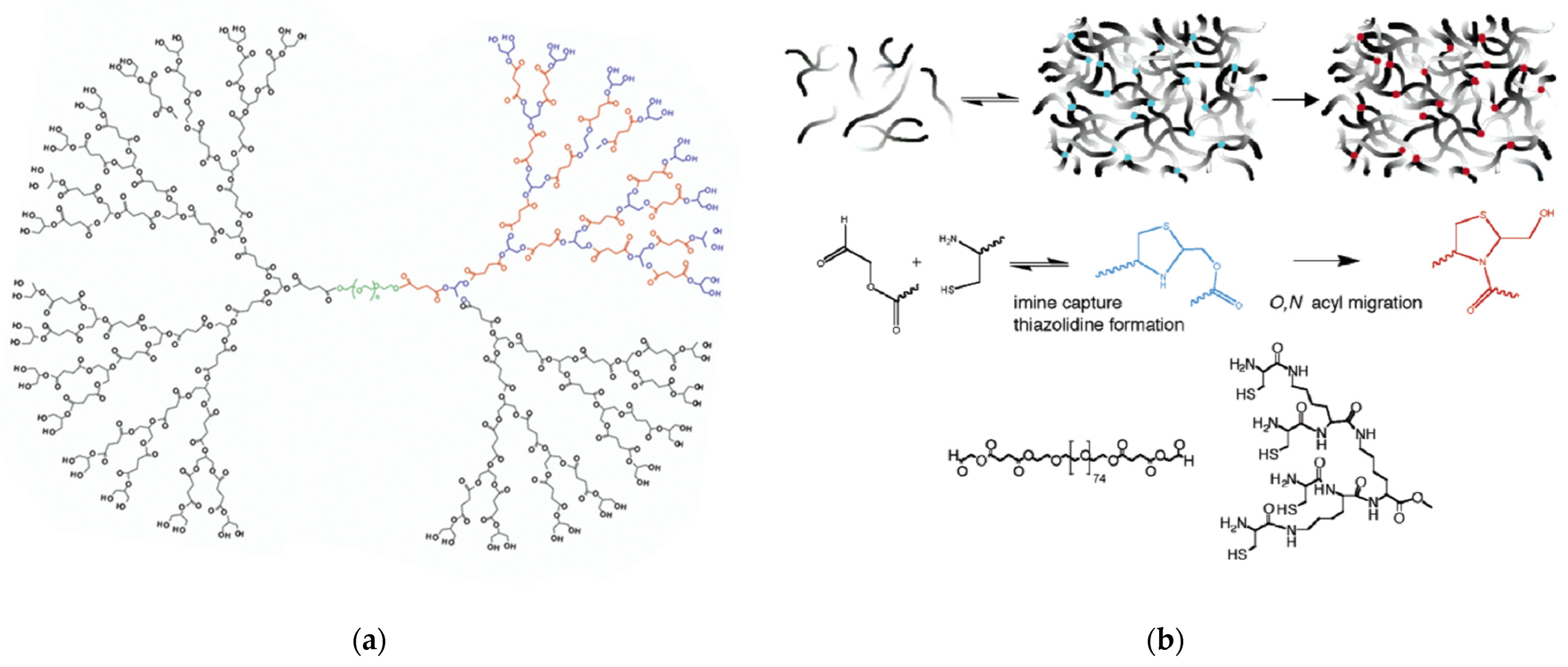 Pharmaceutics 15 00524 g027 Pharmaceutics 15 00524 g027
