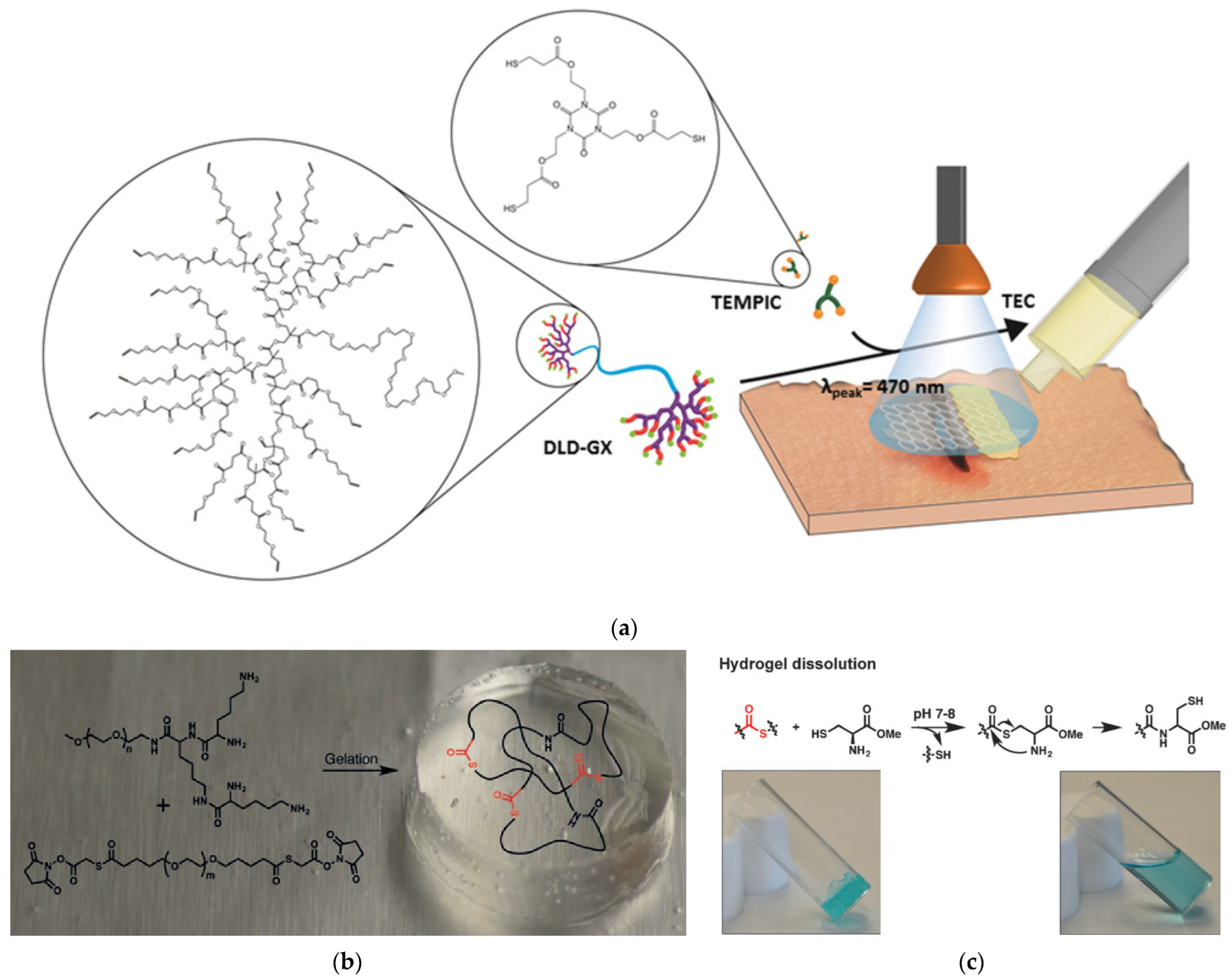 Pharmaceutics 15 00524 g030 Pharmaceutics 15 00524 g030