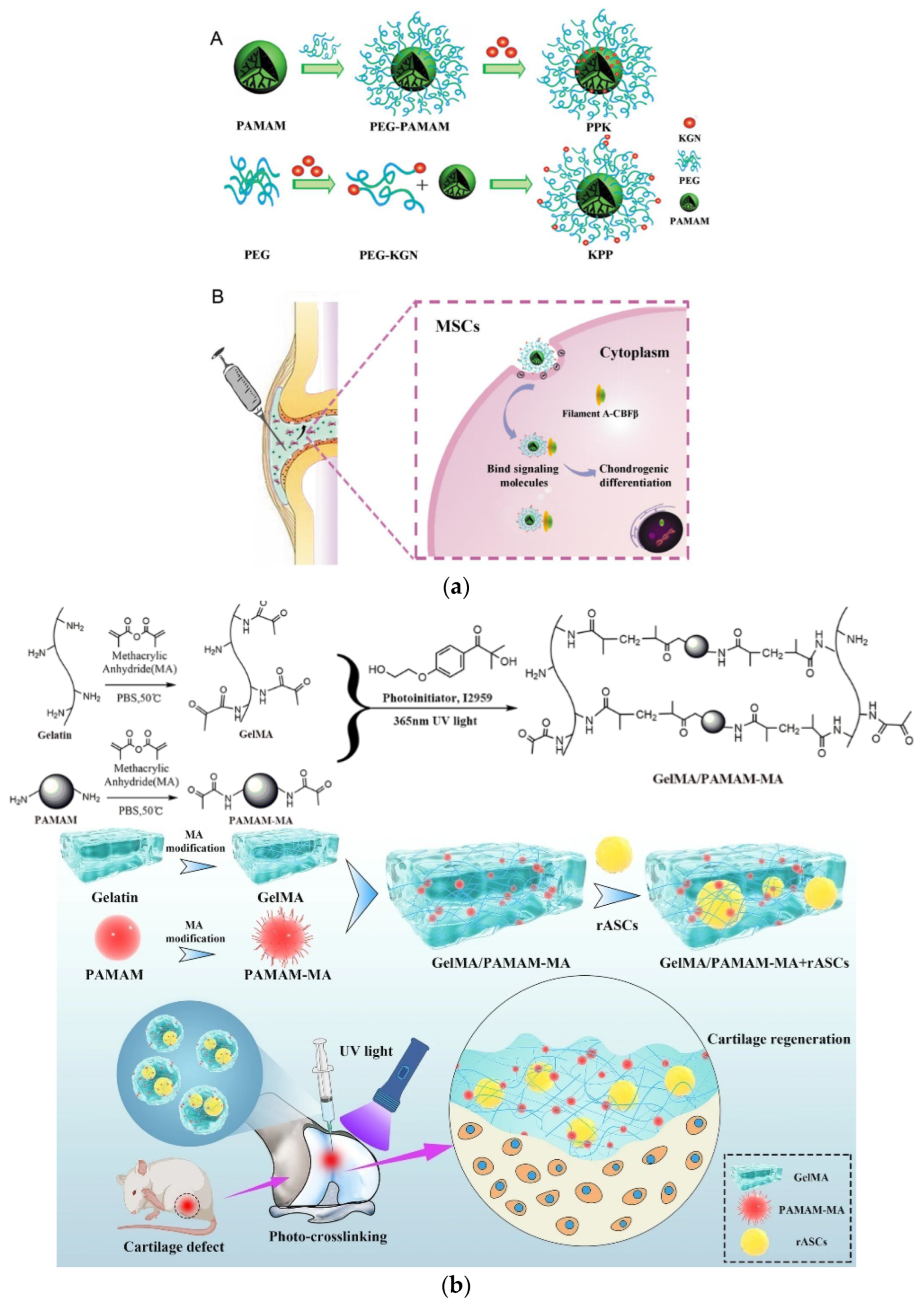 Pharmaceutics 15 00524 g034 Pharmaceutics 15 00524 g034