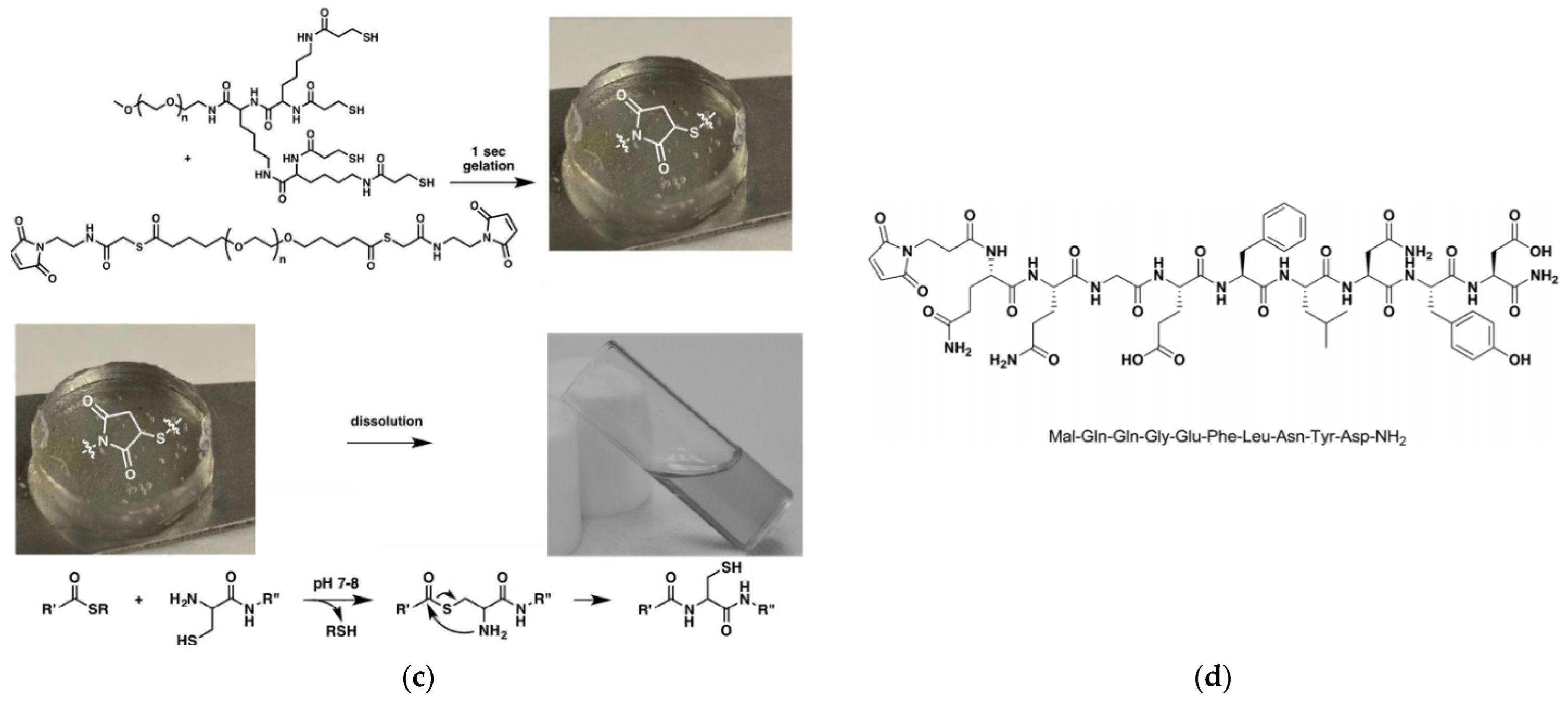 Pharmaceutics 15 00524 g035b Pharmaceutics 15 00524 g035b