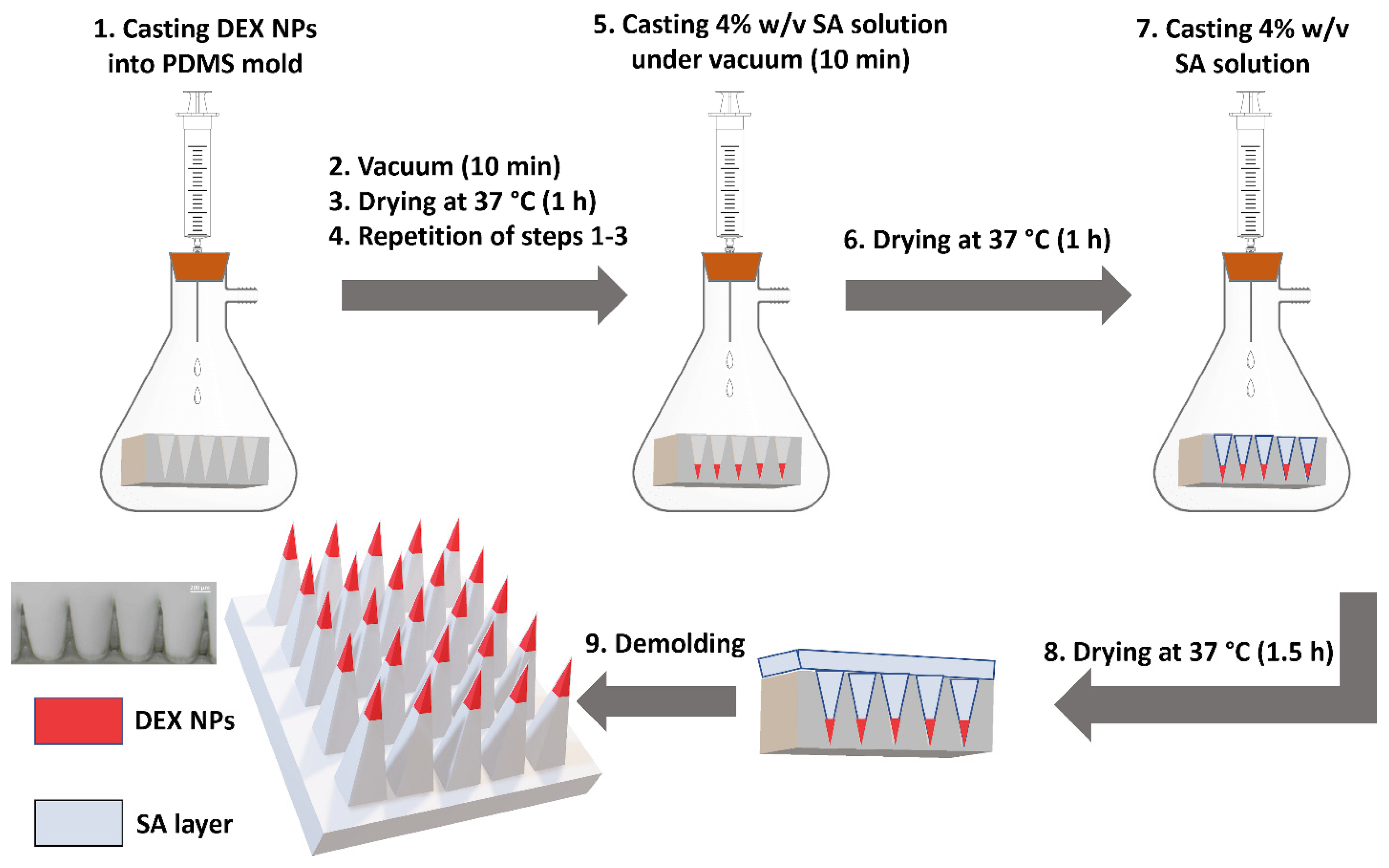 Pharmaceutics 15 00526 g001