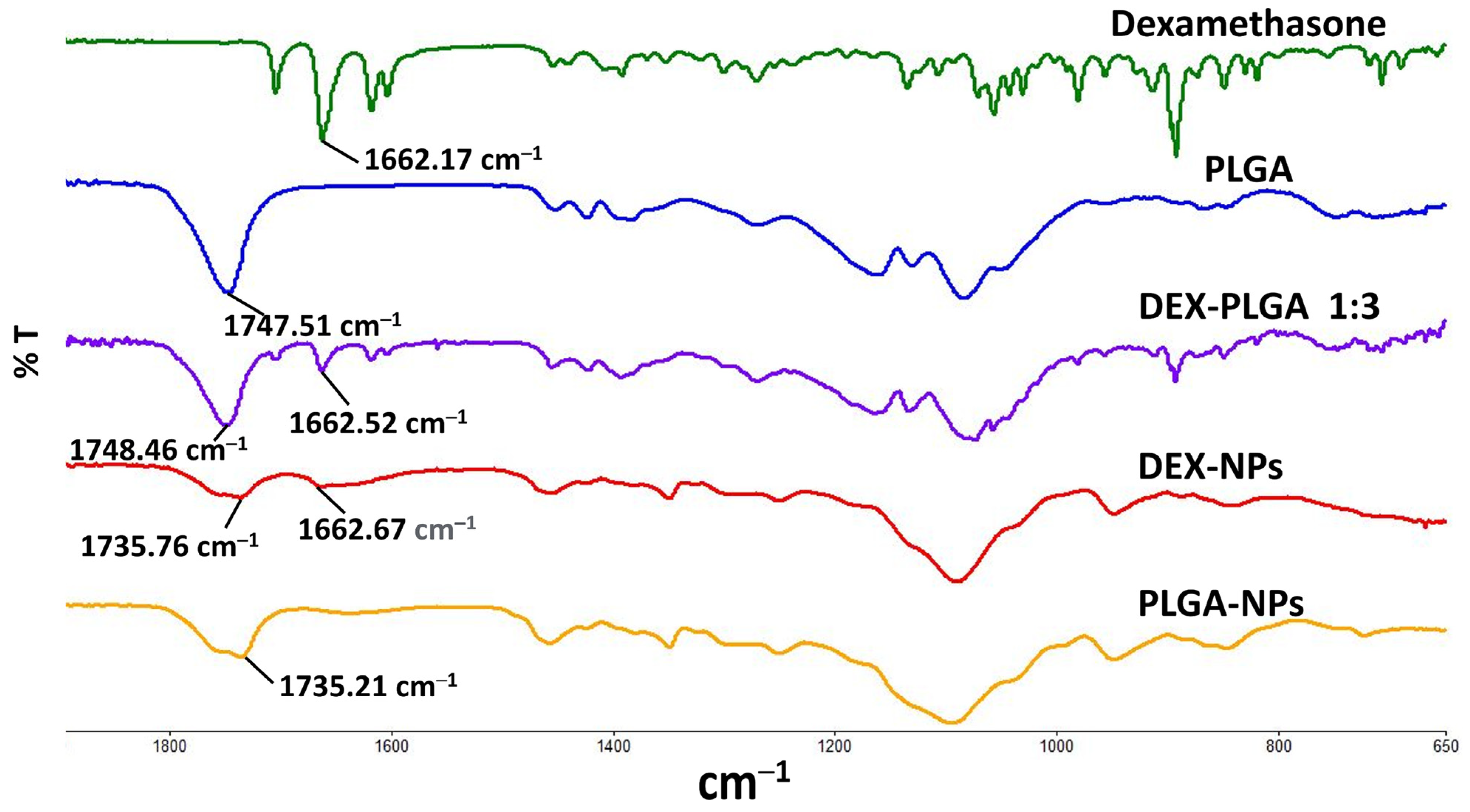 Pharmaceutics 15 00526 g002