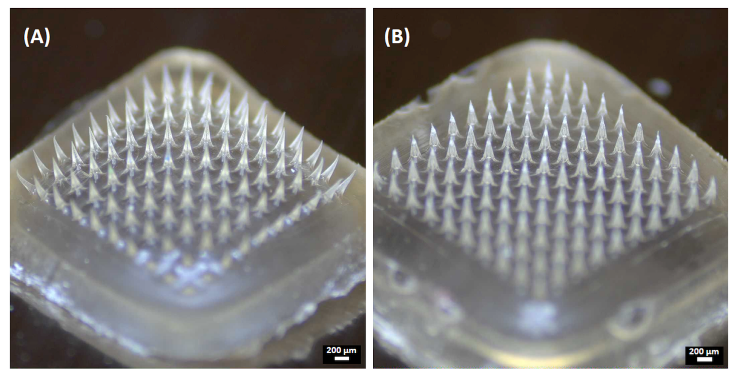 Pharmaceutics 15 00526 g005