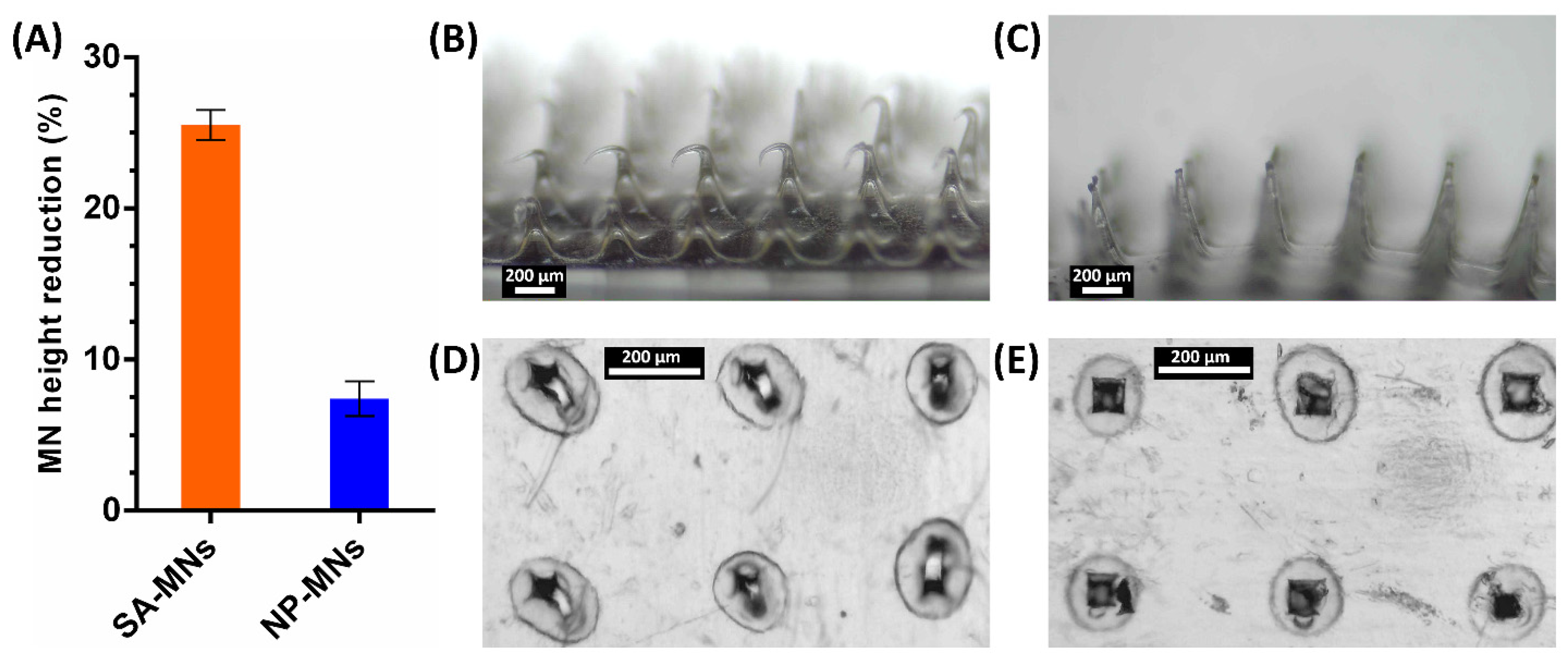 Pharmaceutics 15 00526 g007