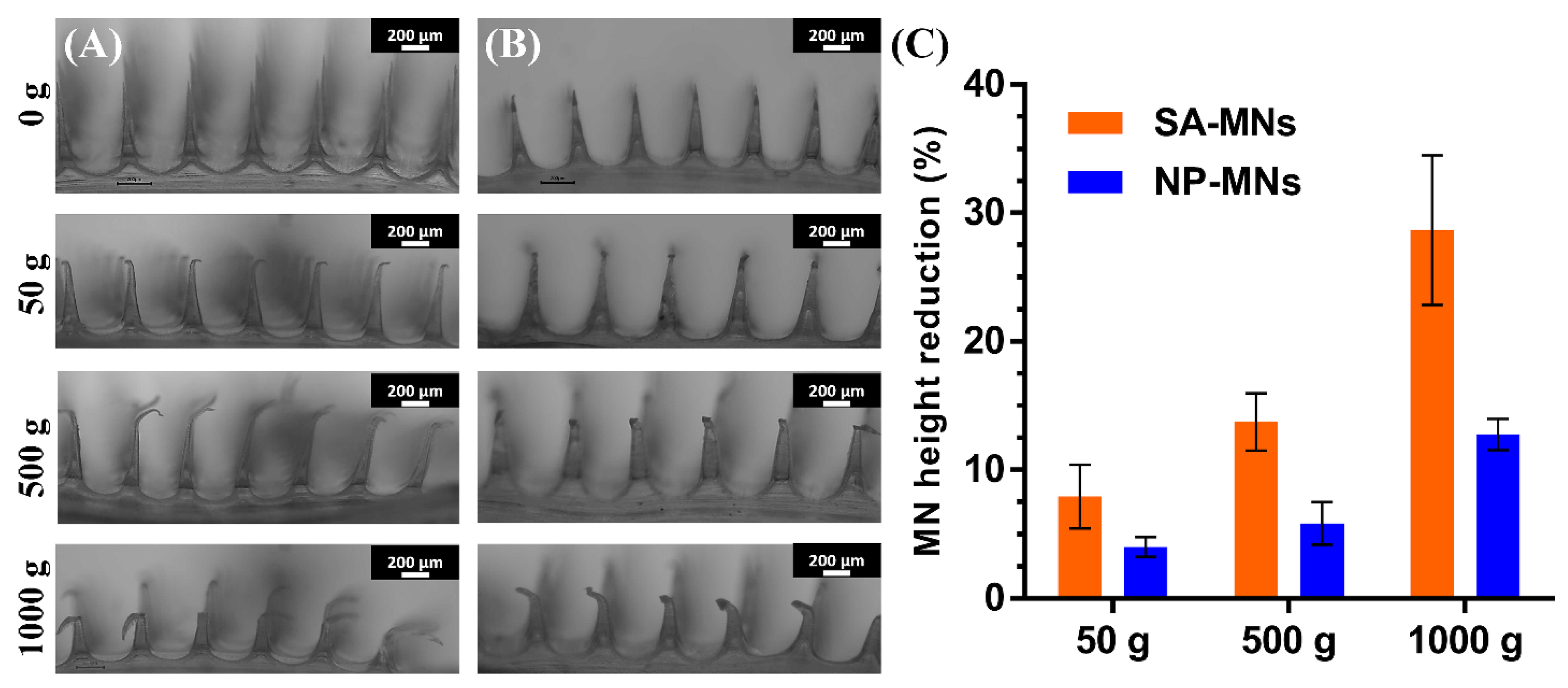 Pharmaceutics 15 00526 g008