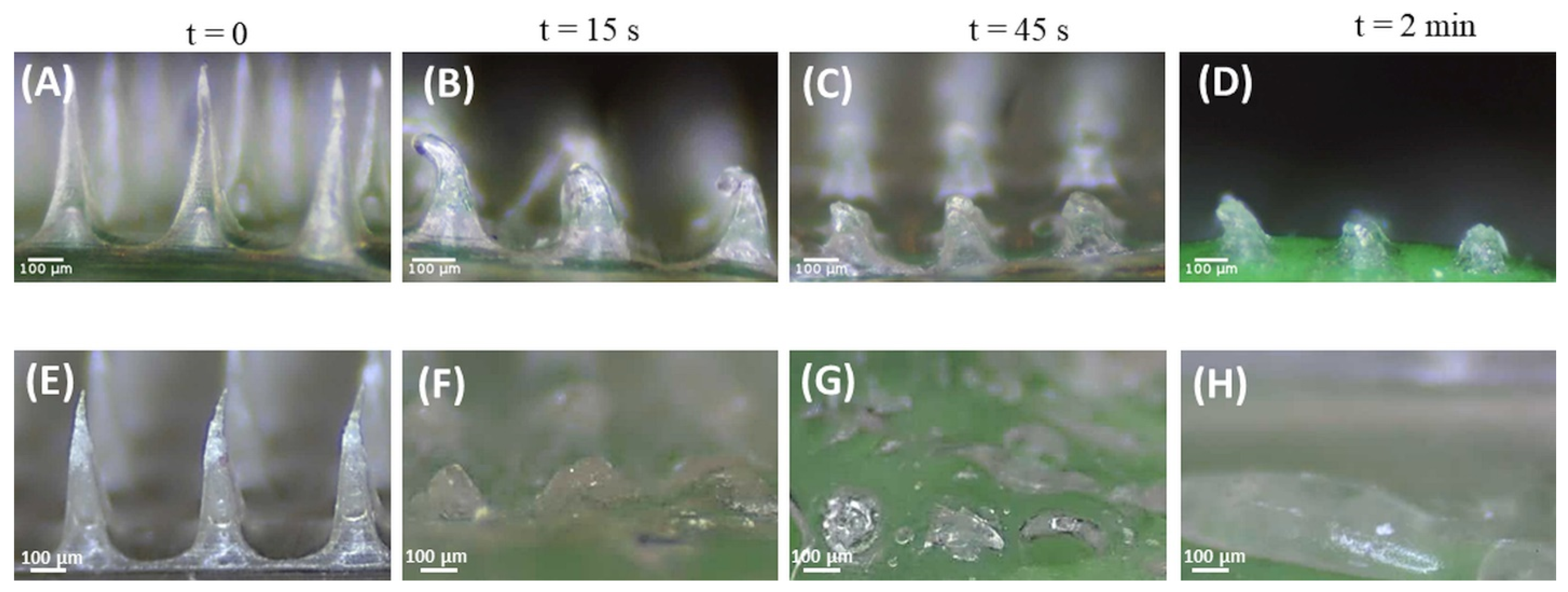 Pharmaceutics 15 00526 g009