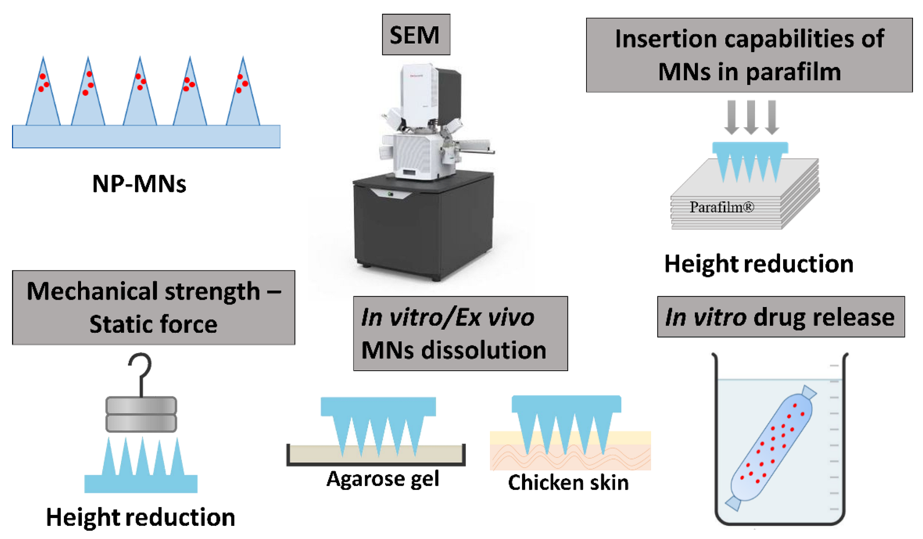 Pharmaceutics 15 00526 sch001