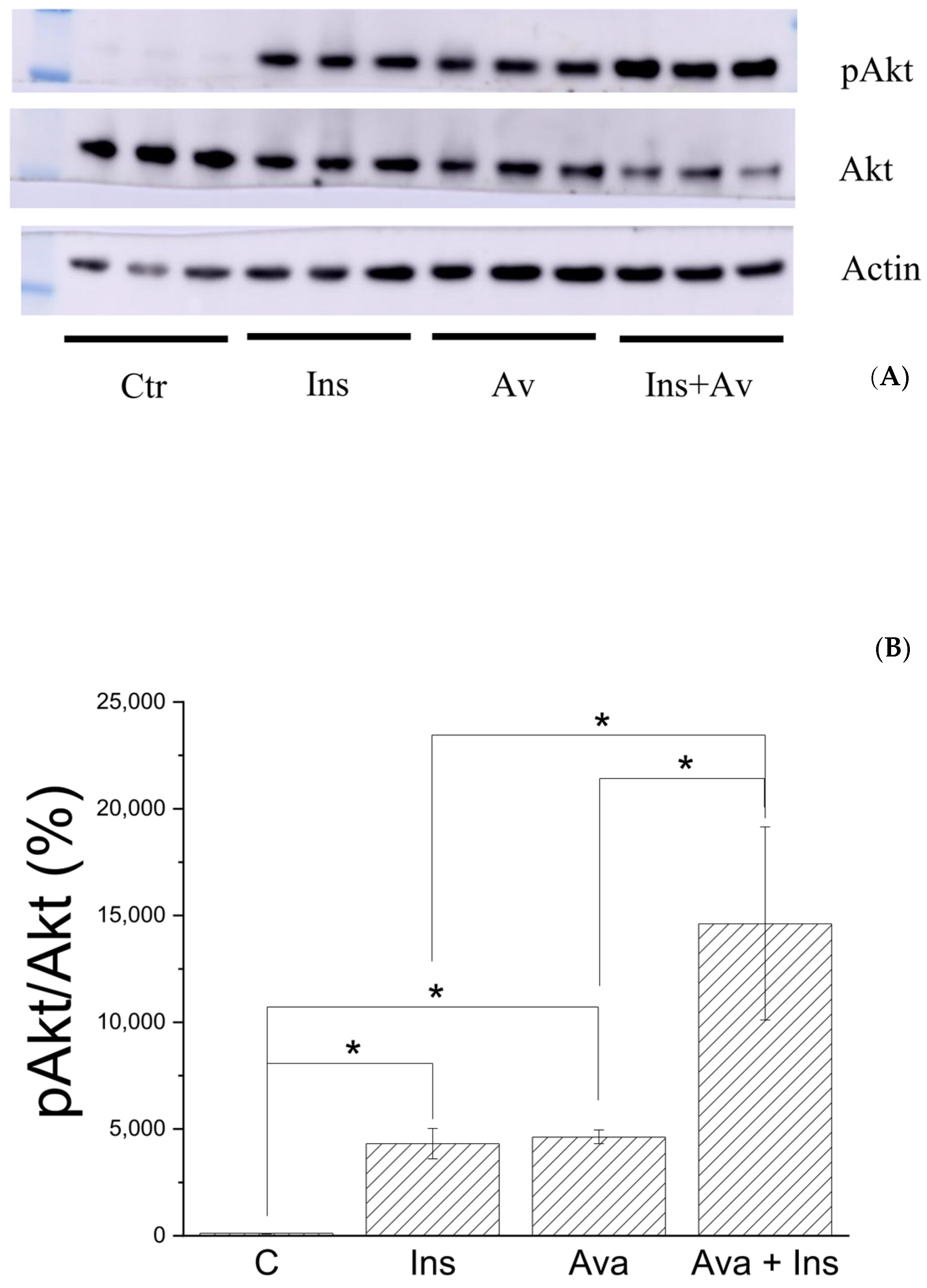 Pharmaceutics 15 00528 g007 Pharmaceutics 15 00528 g007