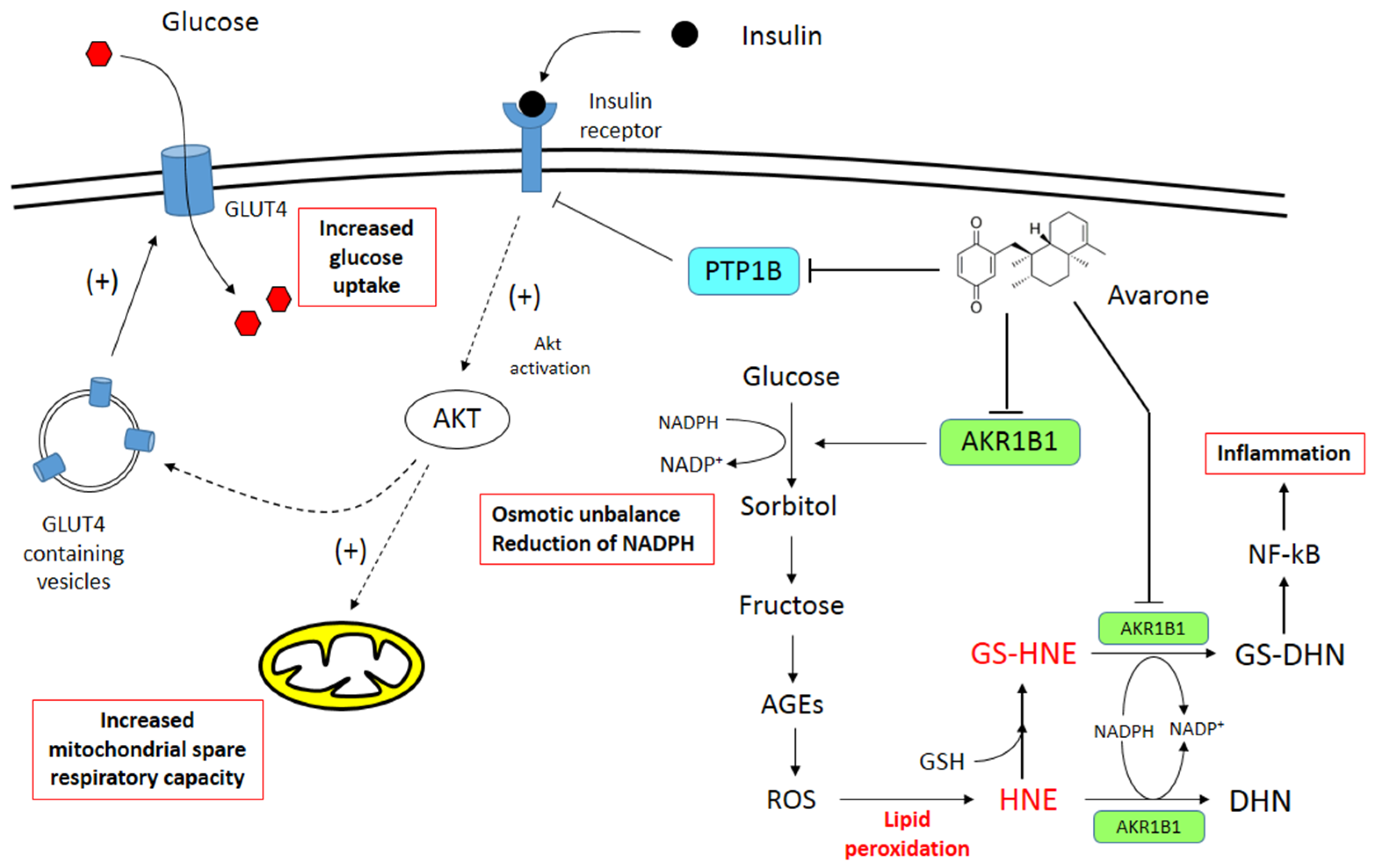 Pharmaceutics 15 00528 g011 Pharmaceutics 15 00528 g011
