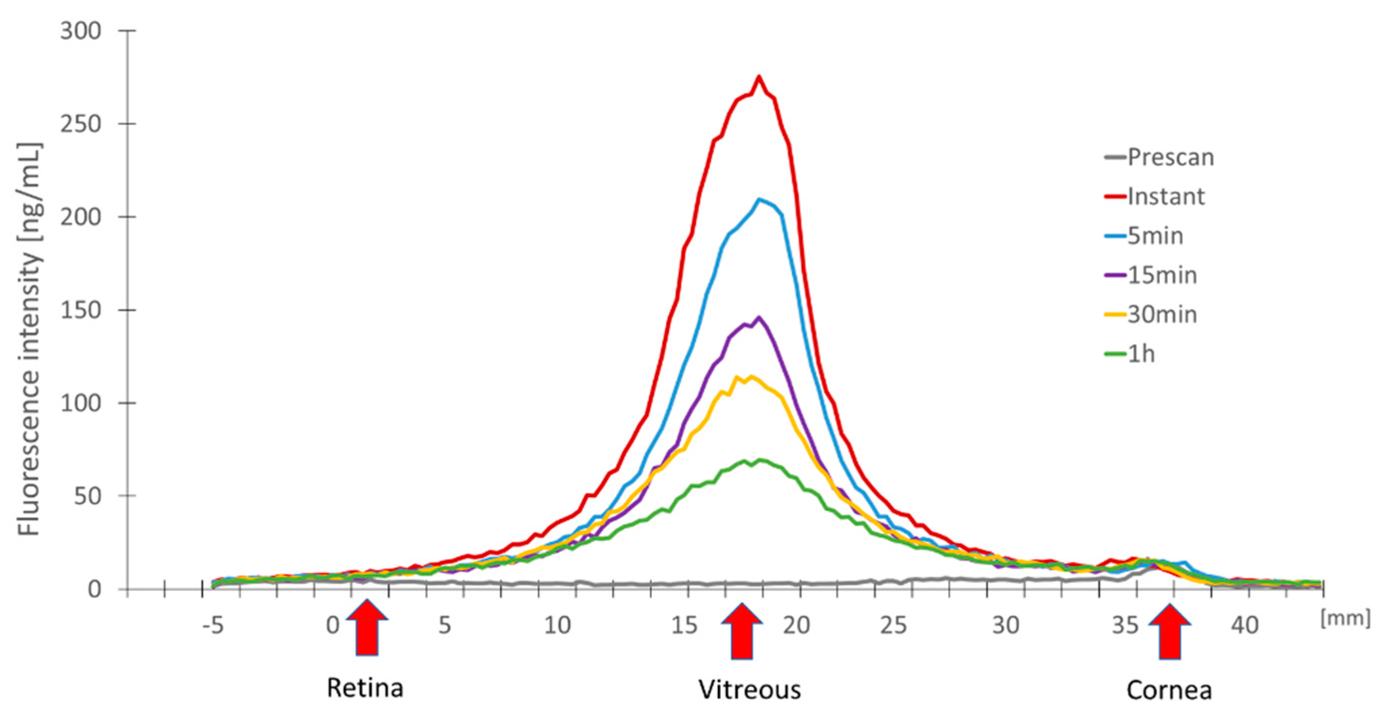 Pharmaceutics 15 00532 g001