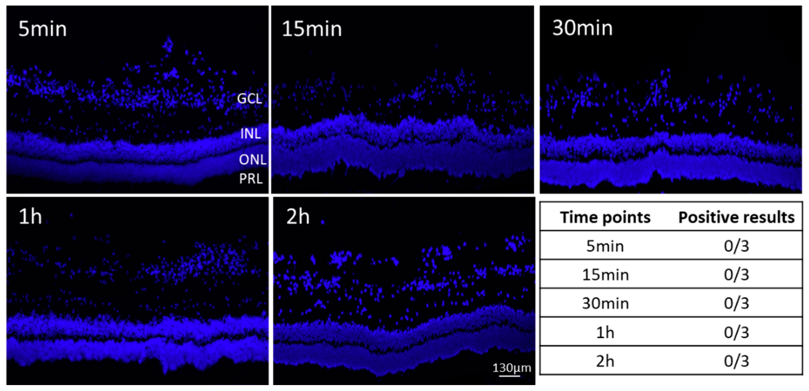 Pharmaceutics 15 00532 g003
