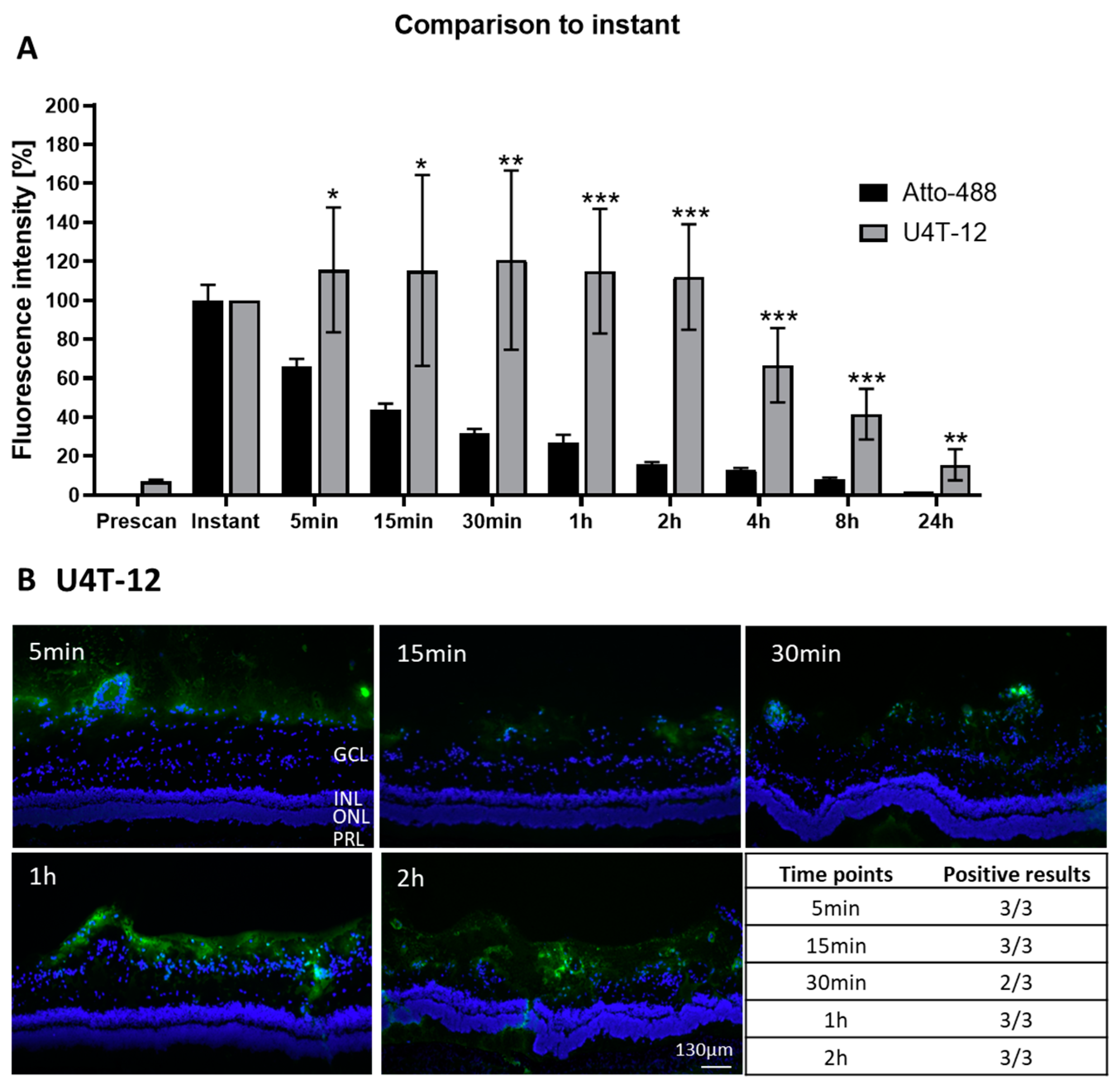 Pharmaceutics 15 00532 g004