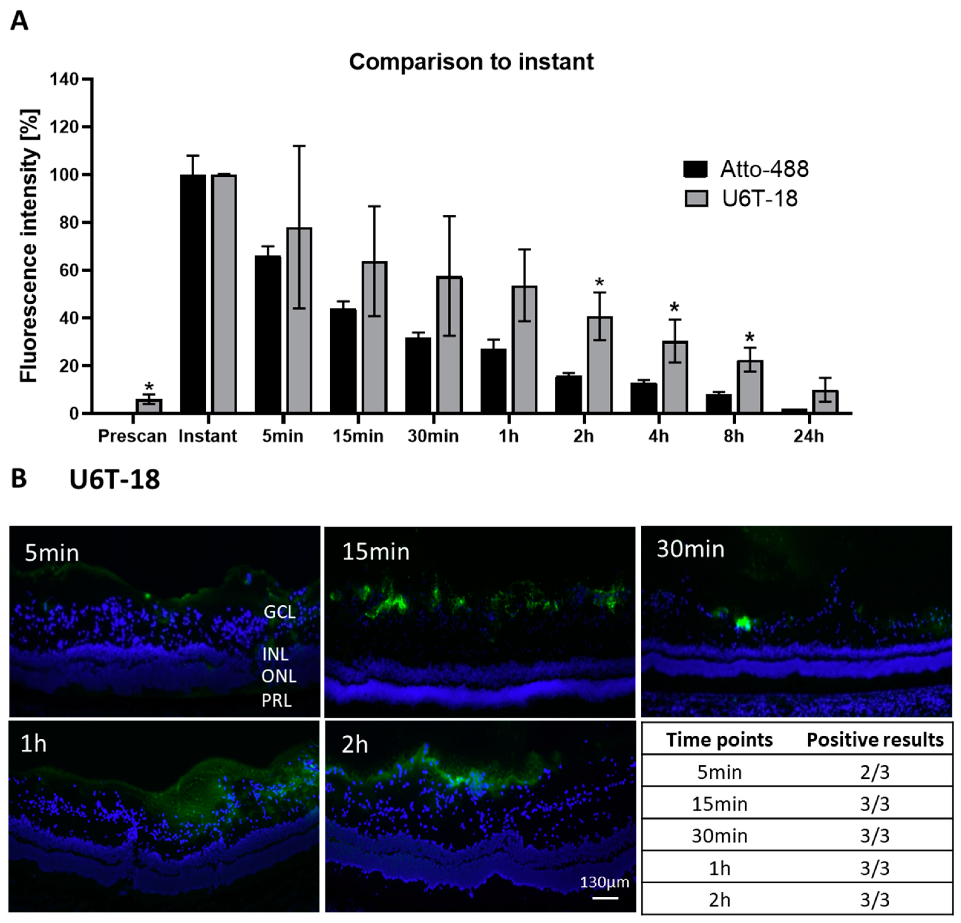 Pharmaceutics 15 00532 g005