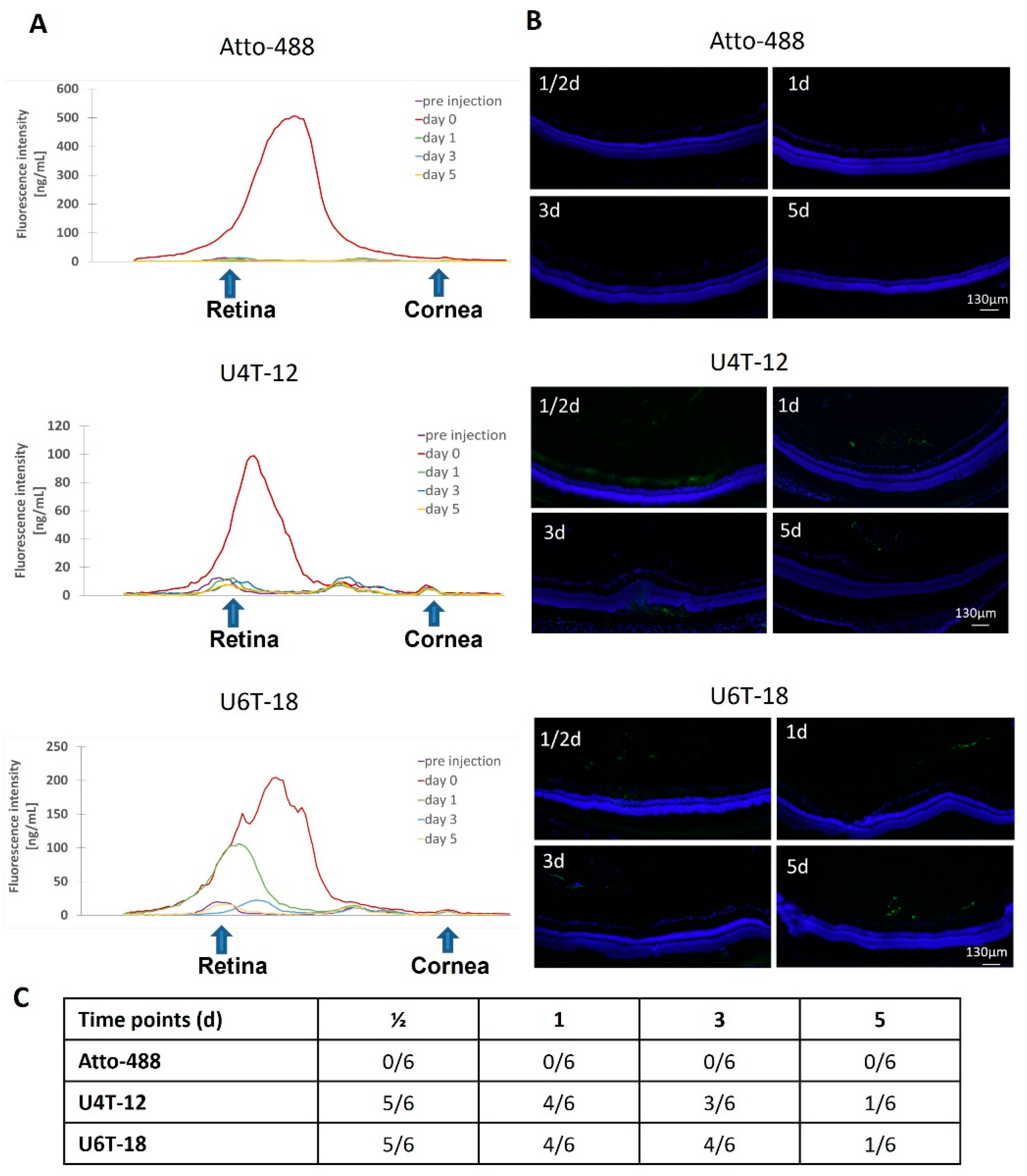 Pharmaceutics 15 00532 g006