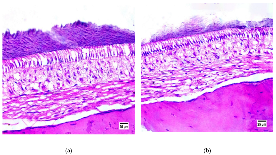 Pharmaceutics 15 00533 g007