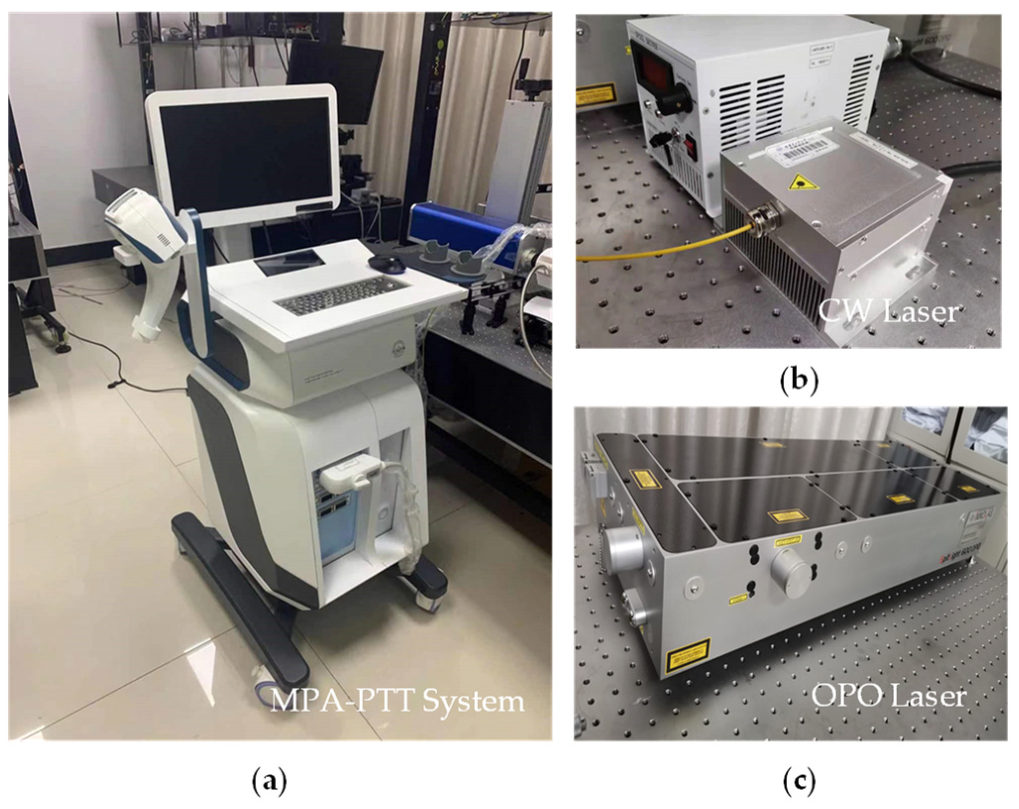 Pharmaceutics 15 00555 g004 Pharmaceutics 15 00555 g004