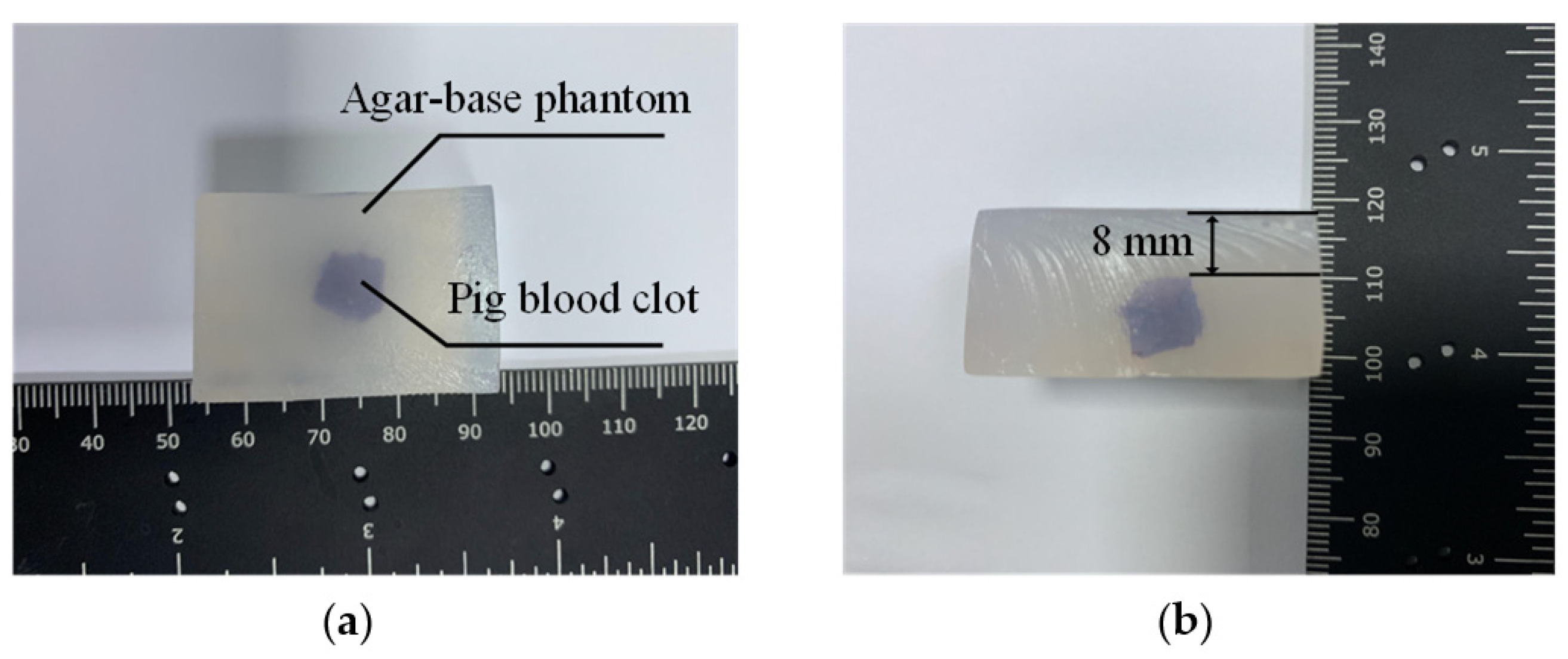Pharmaceutics 15 00555 g008 Pharmaceutics 15 00555 g008