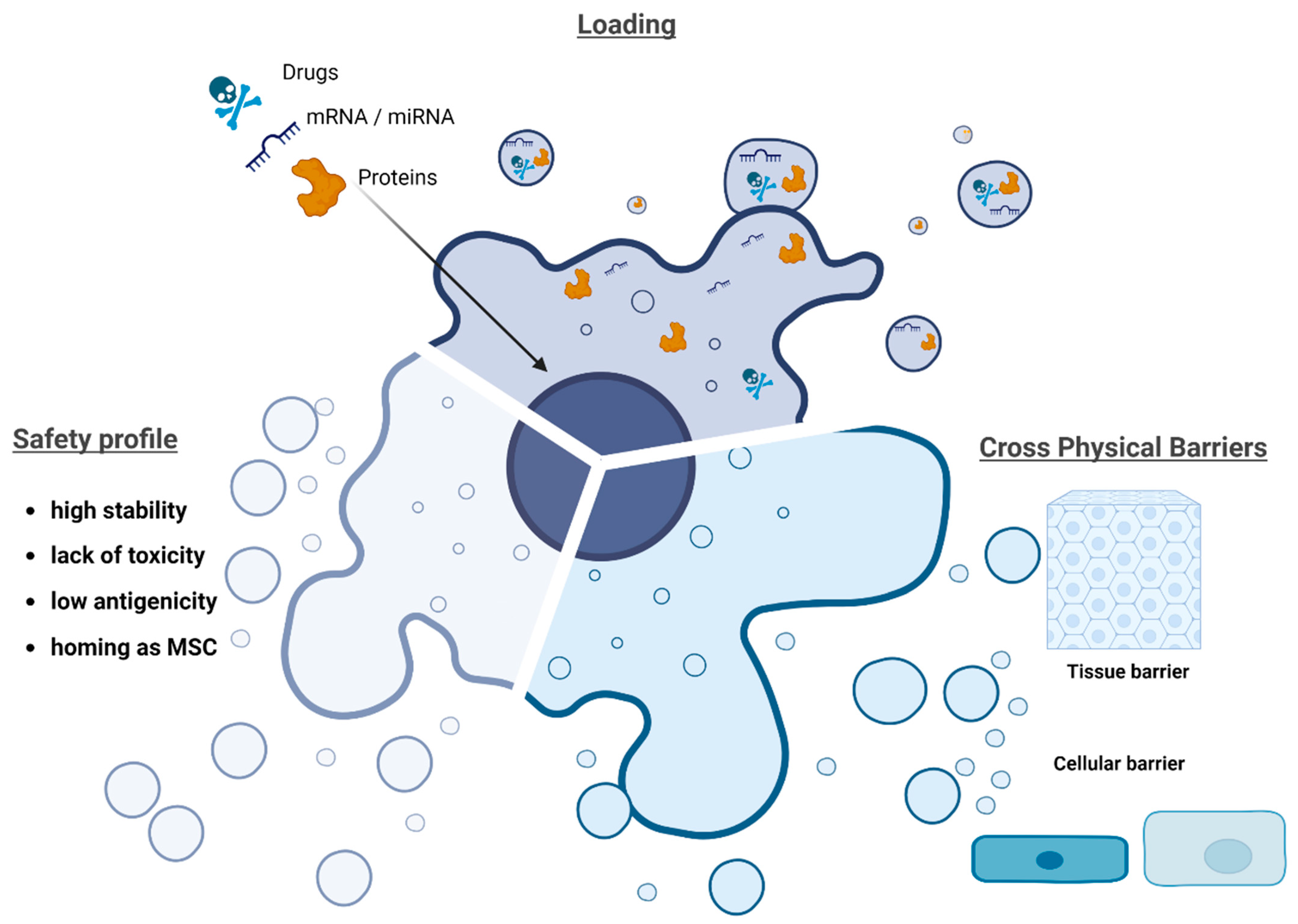 Pharmaceutics 15 00558 g002 Pharmaceutics 15 00558 g002