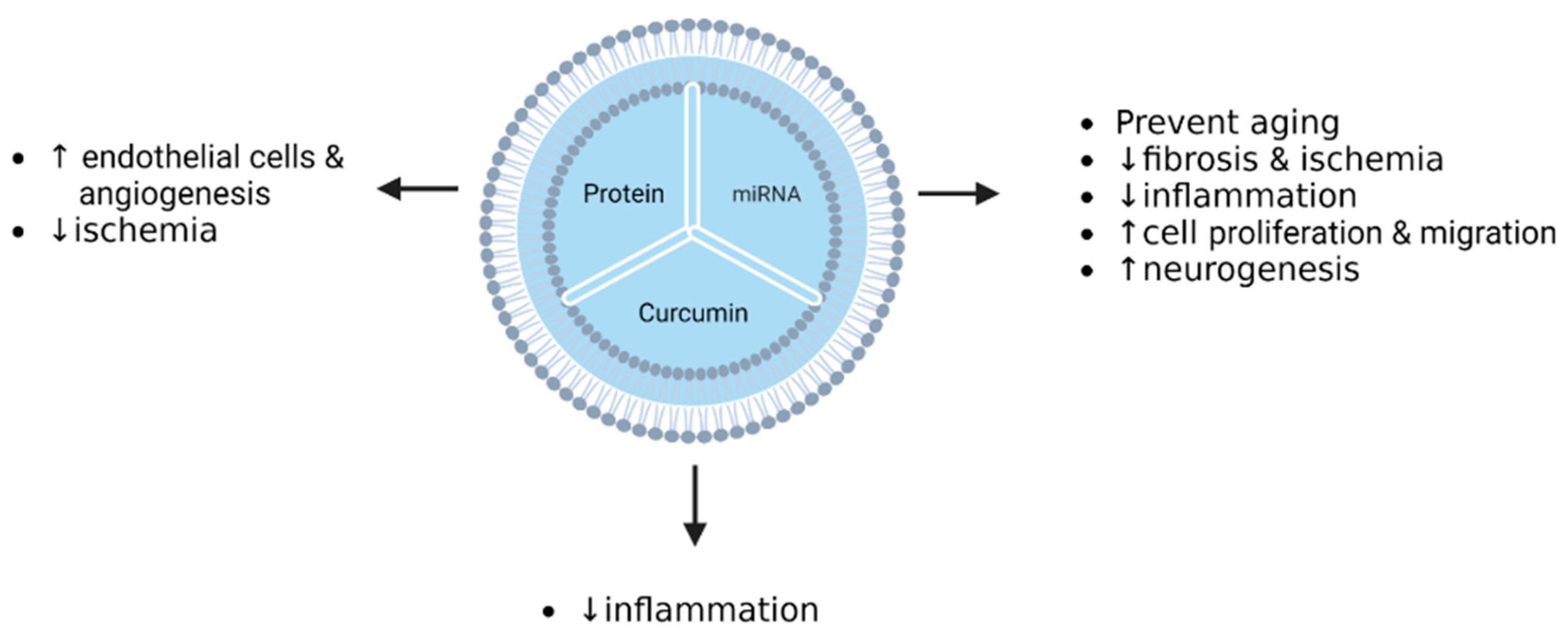 Pharmaceutics 15 00558 g005 Pharmaceutics 15 00558 g005