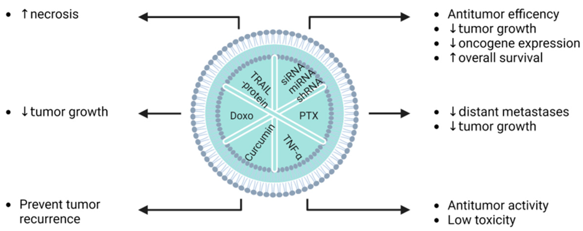 Pharmaceutics 15 00558 g006 Pharmaceutics 15 00558 g006
