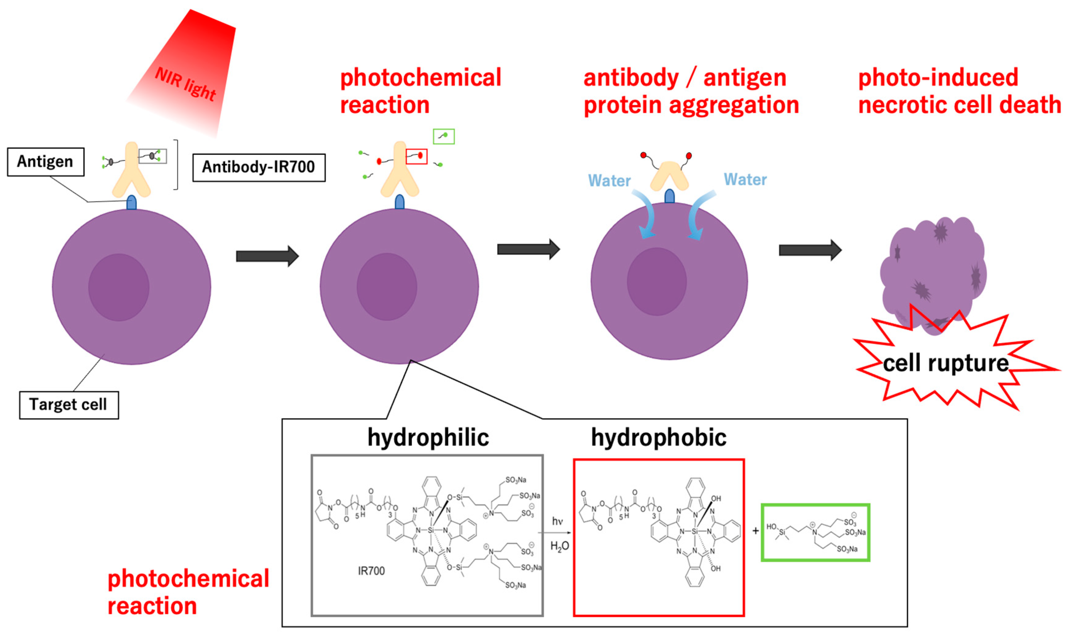 Pharmaceutics 15 00561 g001 Pharmaceutics 15 00561 g001