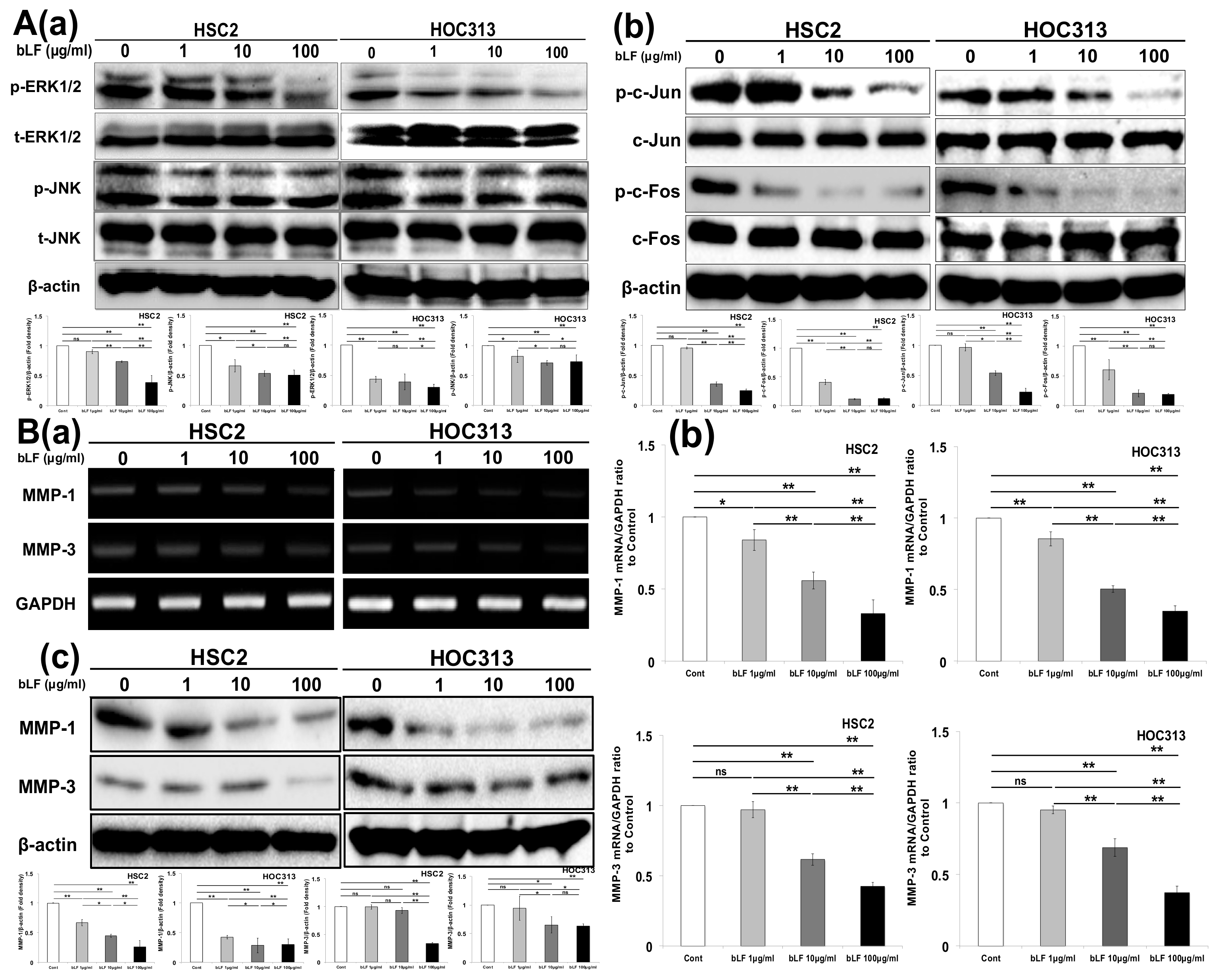 Pharmaceutics 15 00562 g002