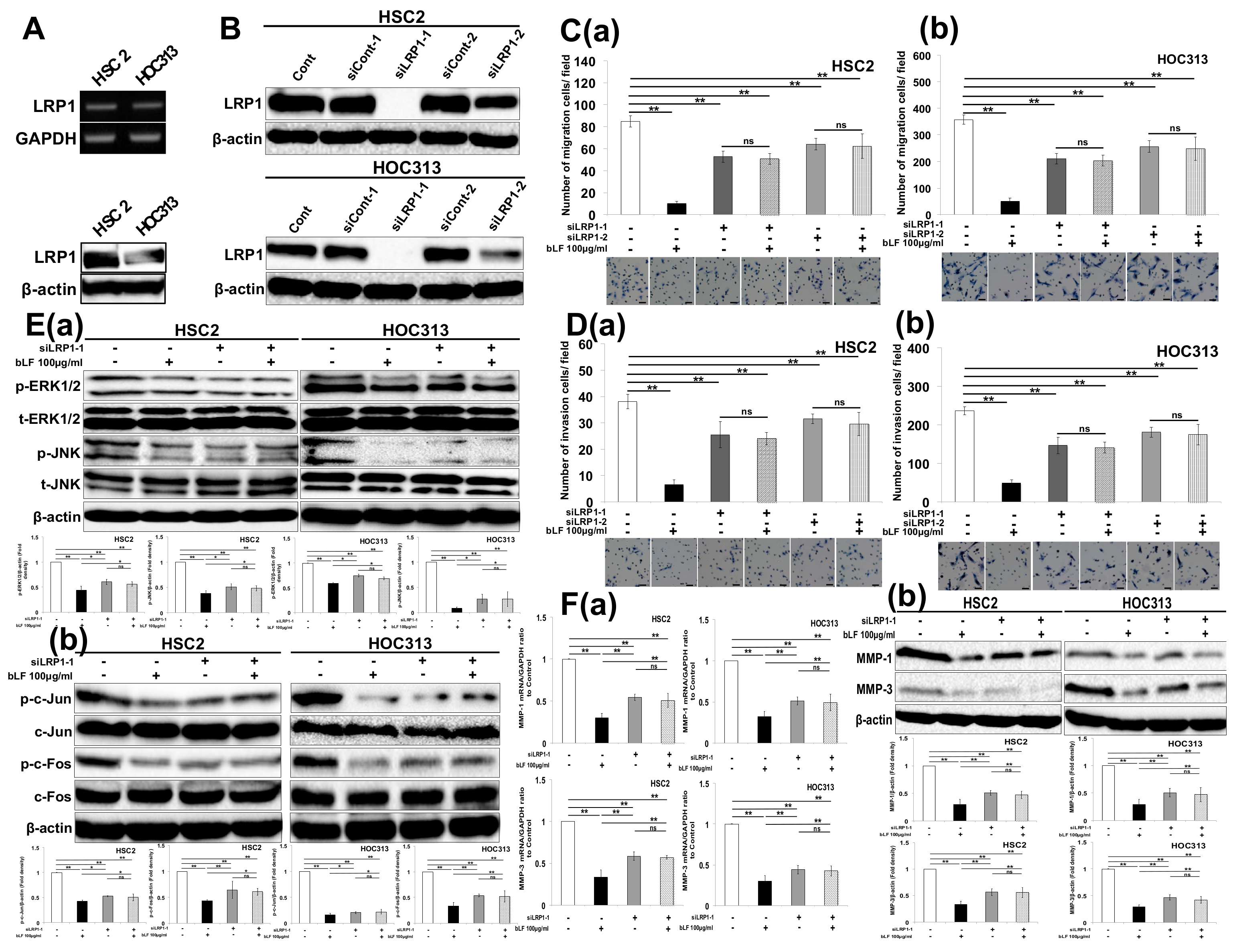 Pharmaceutics 15 00562 g003