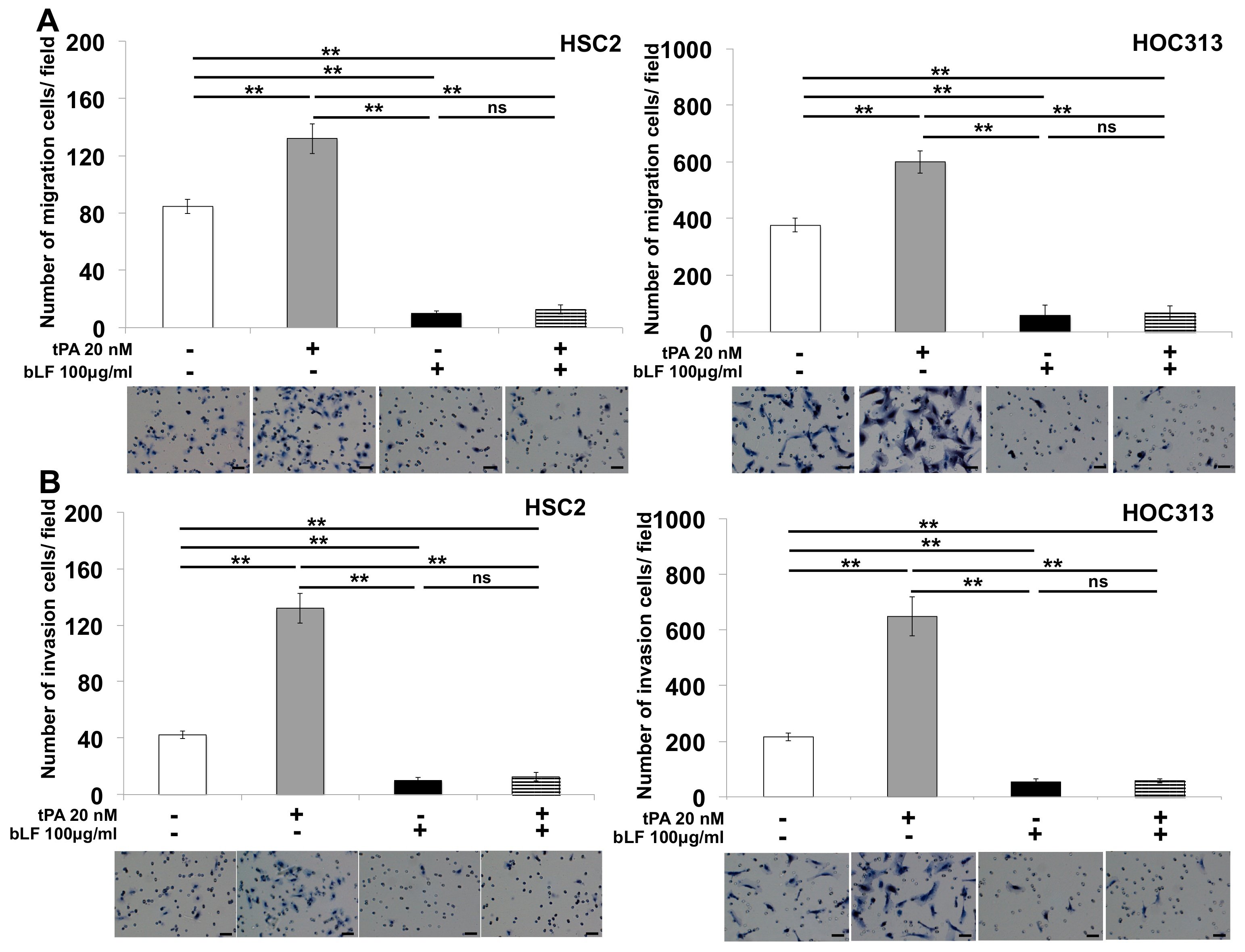 Pharmaceutics 15 00562 g004