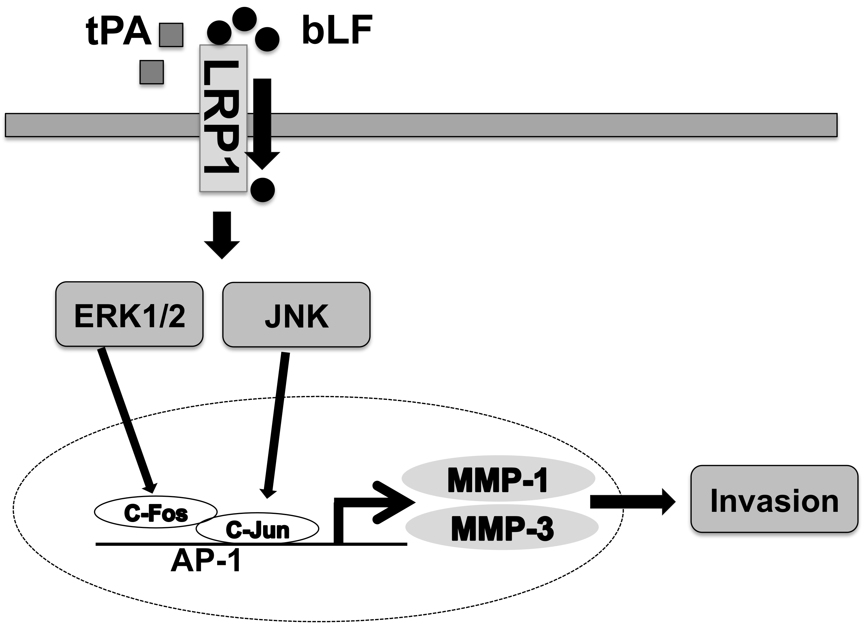 Pharmaceutics 15 00562 g006