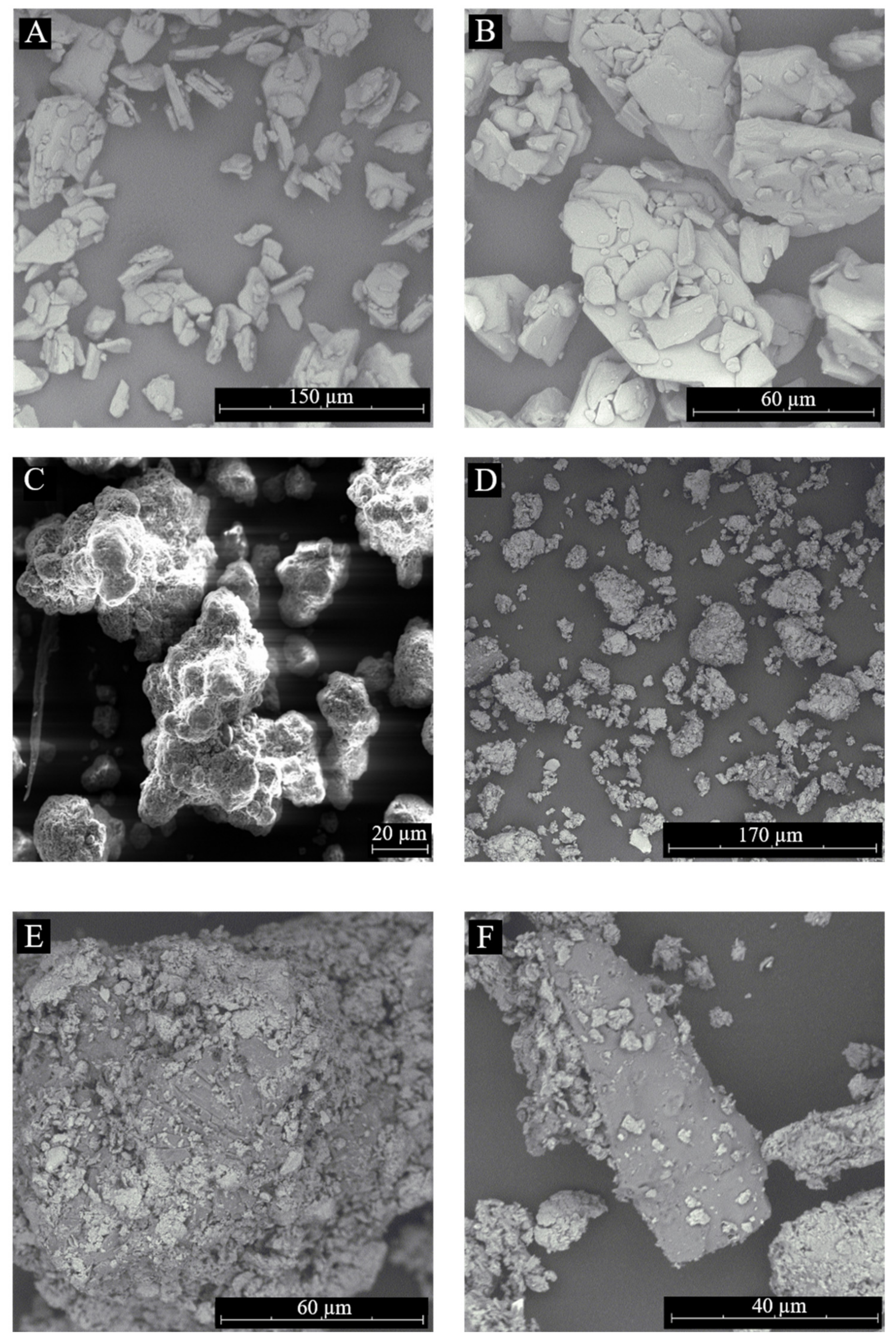 Pharmaceutics 15 00575 g006