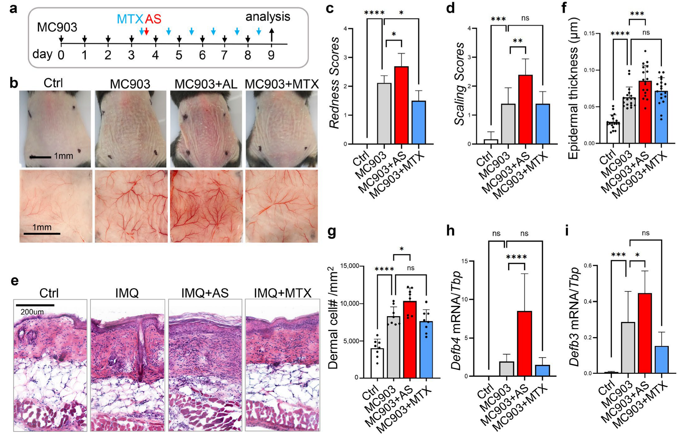 Pharmaceutics 15 00576 g004 Pharmaceutics 15 00576 g004