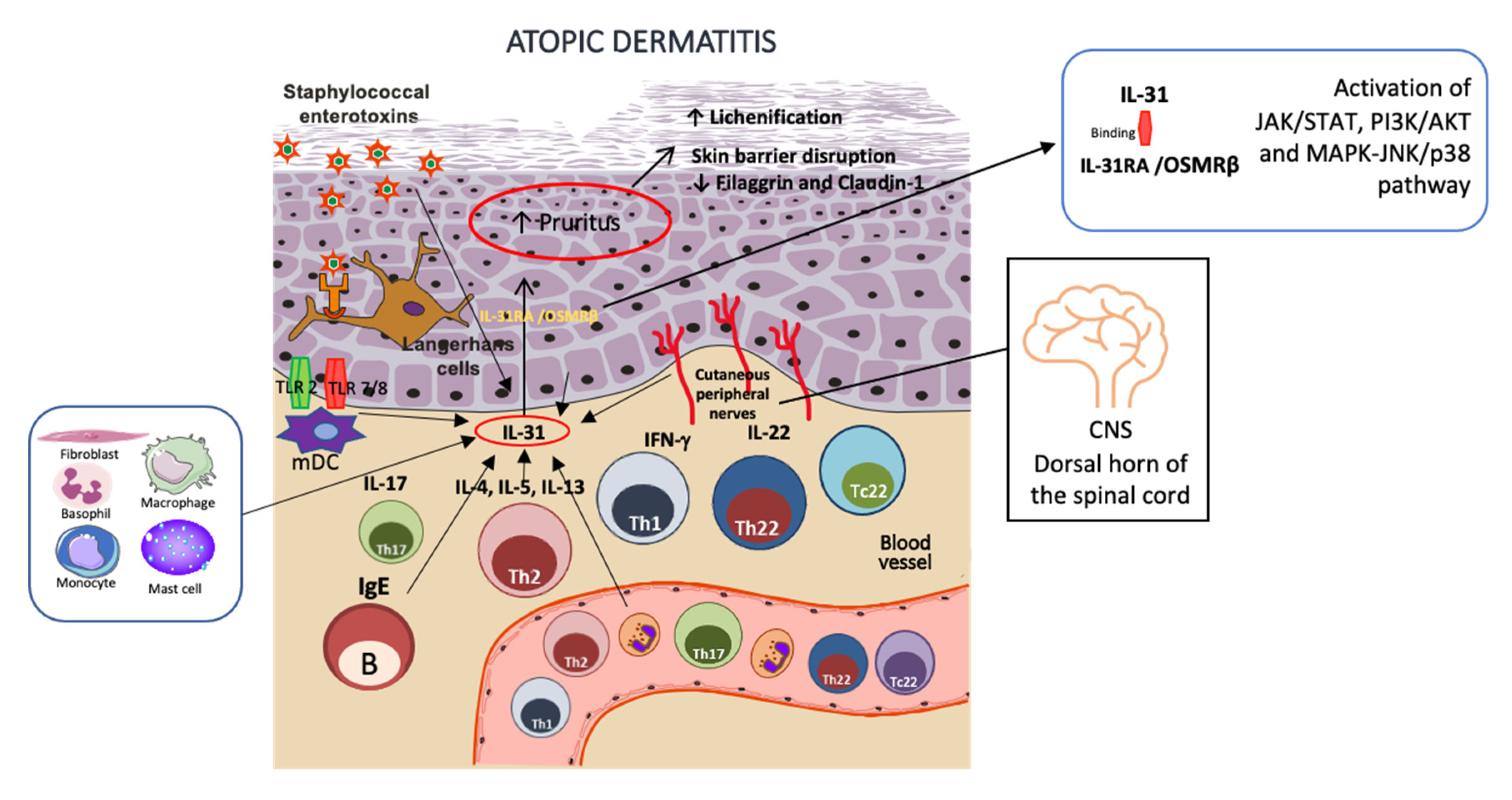 Pharmaceutics 15 00577 g001