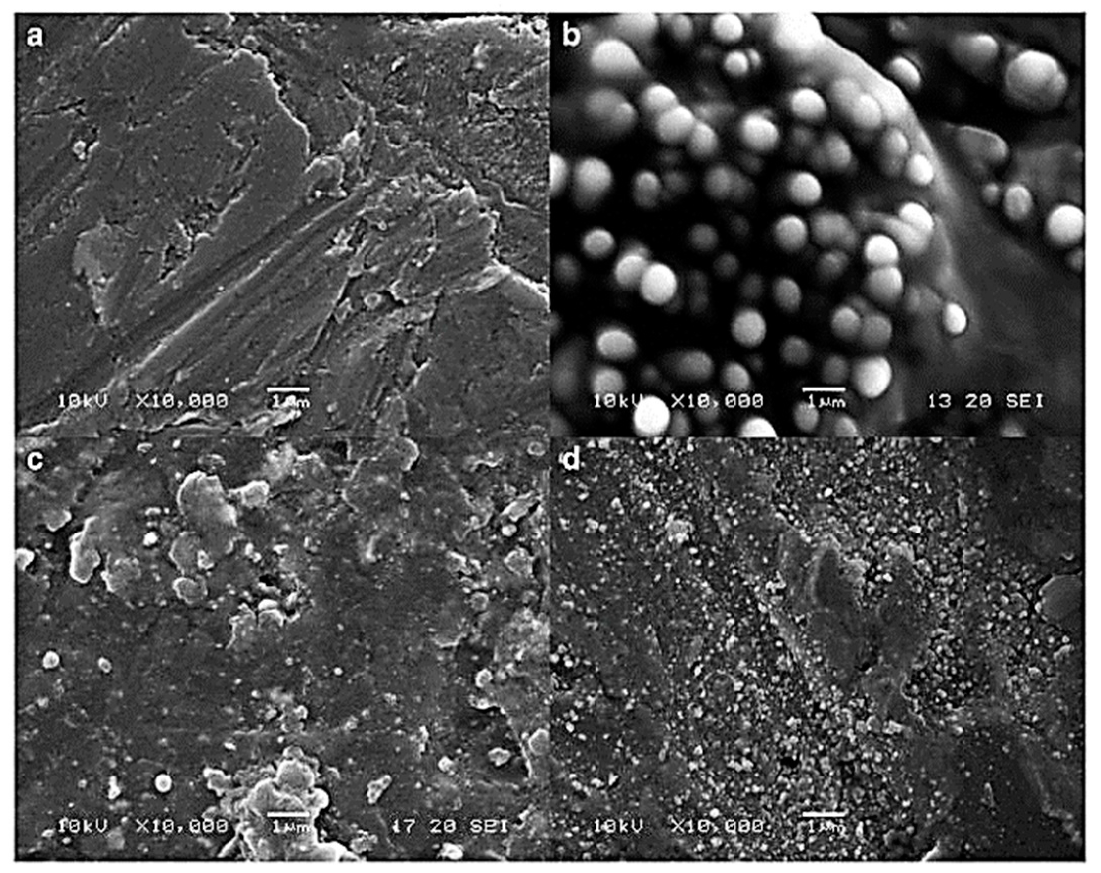 Pharmaceutics 15 00587 g004