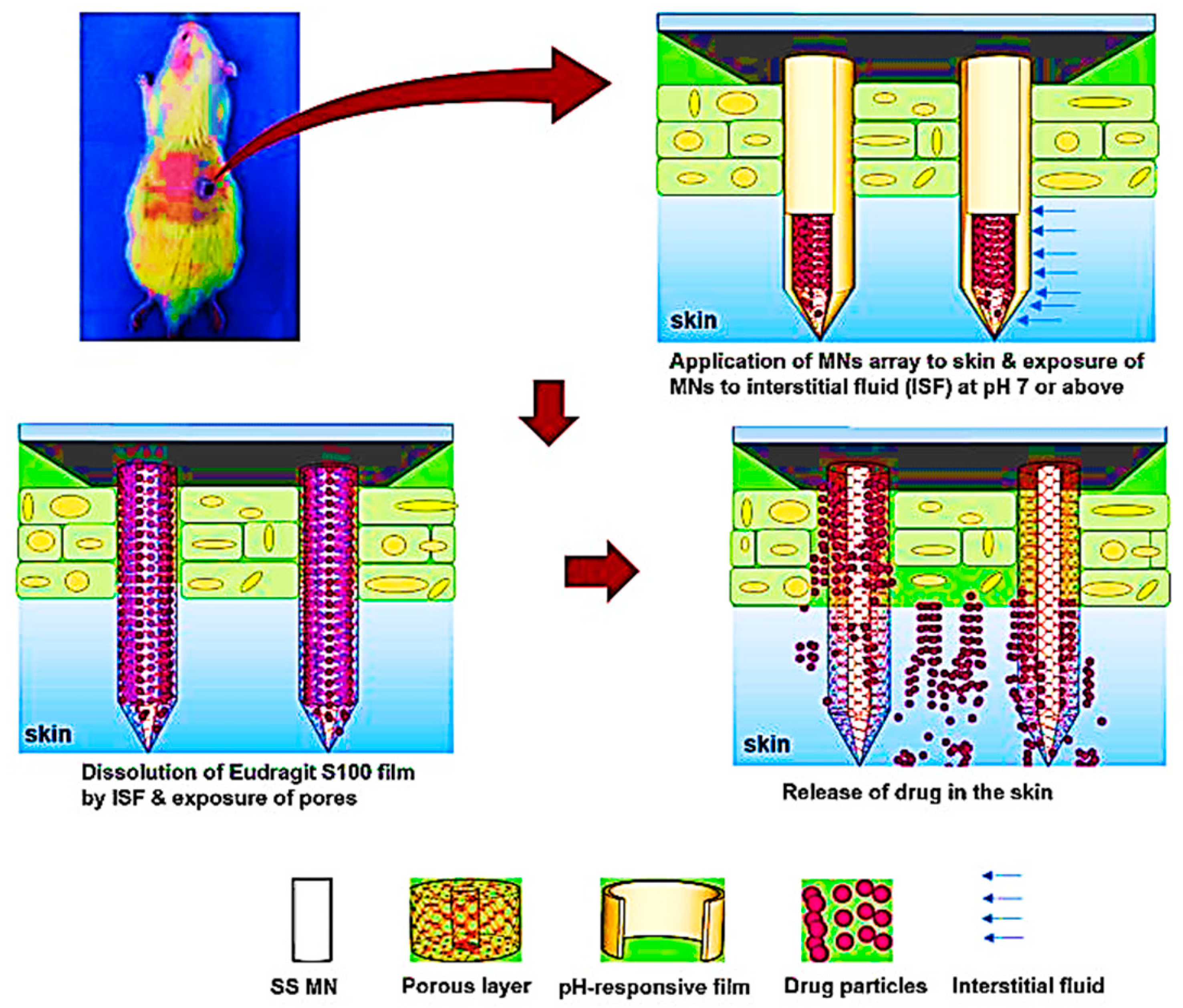 Pharmaceutics 15 00587 g005