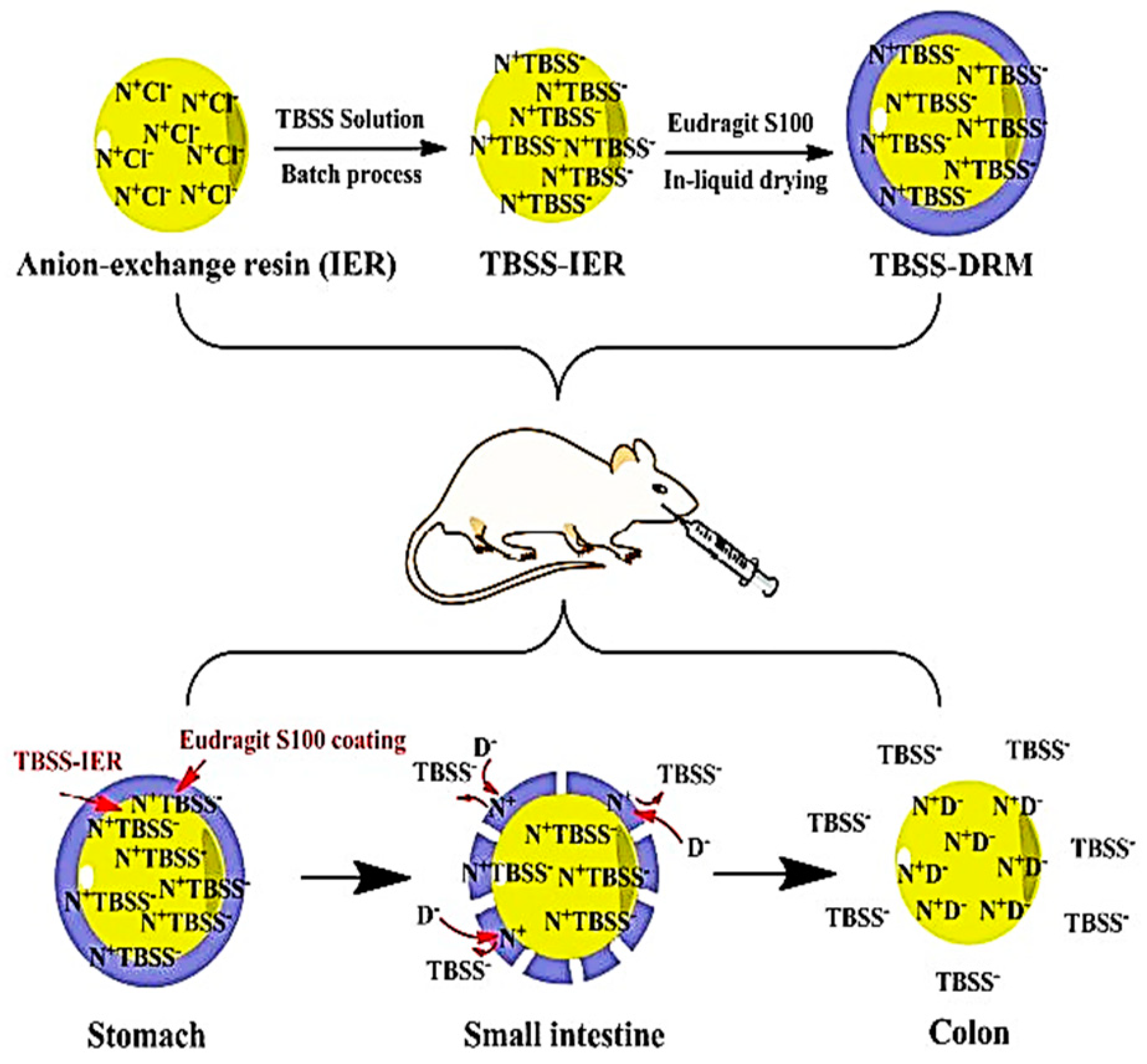 Pharmaceutics 15 00587 g011