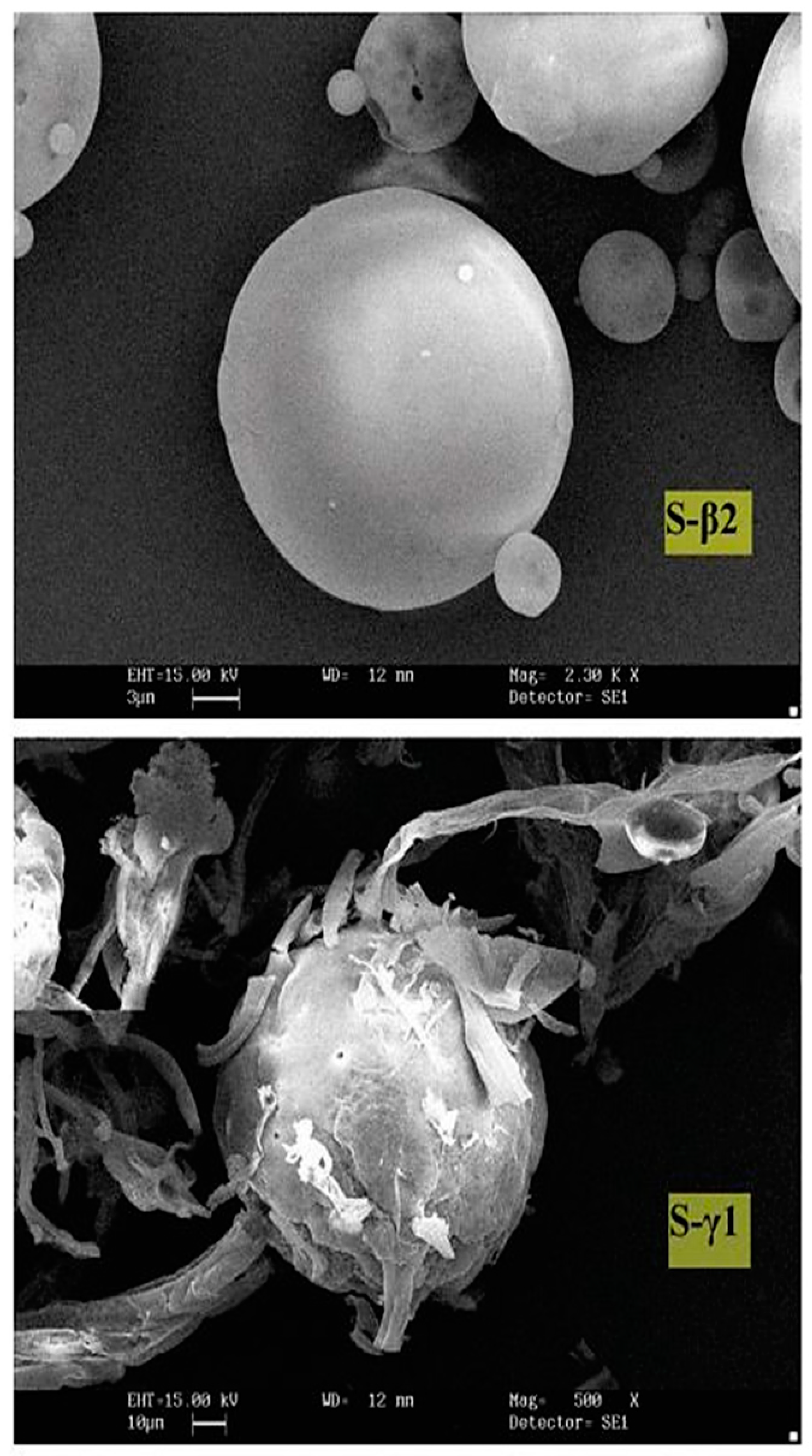 Pharmaceutics 15 00587 g012
