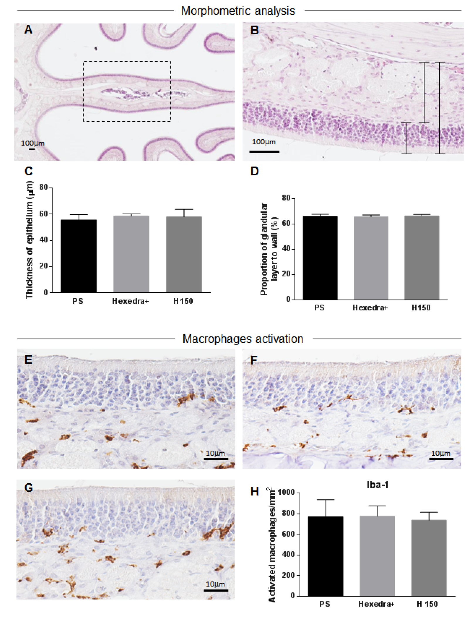 Pharmaceutics 15 00591 g005