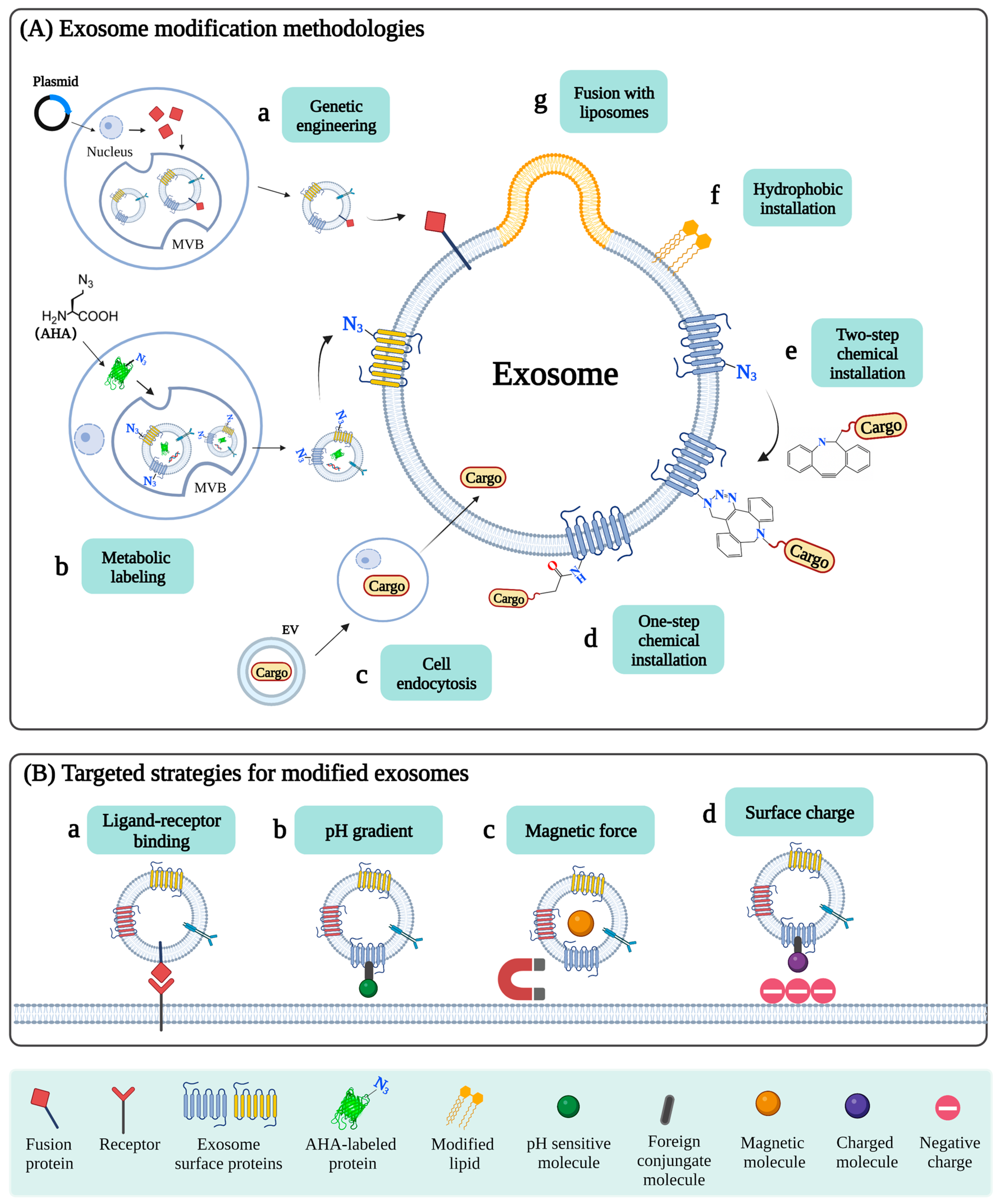Pharmaceutics 15 00598 g002