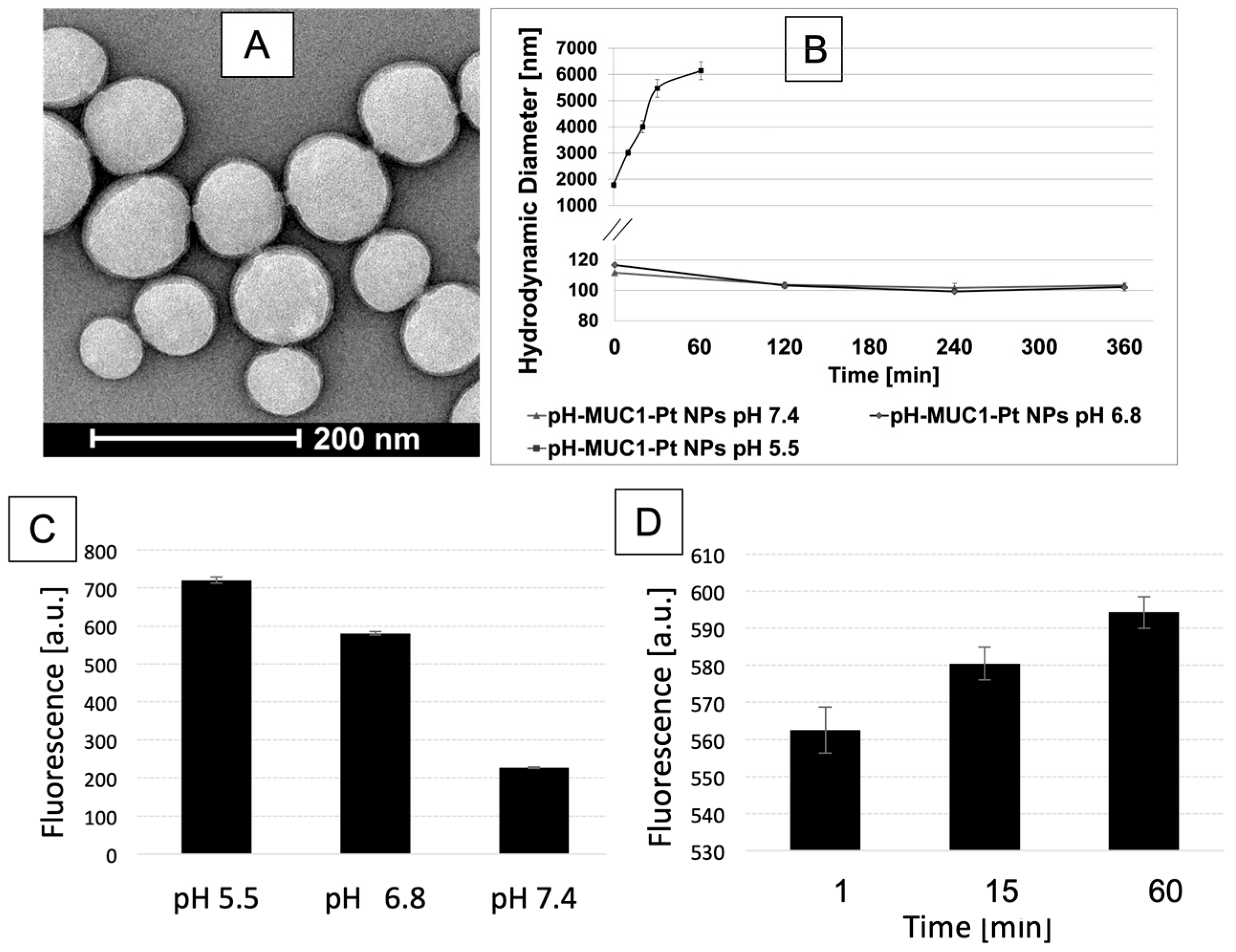 Pharmaceutics 15 00607 g002