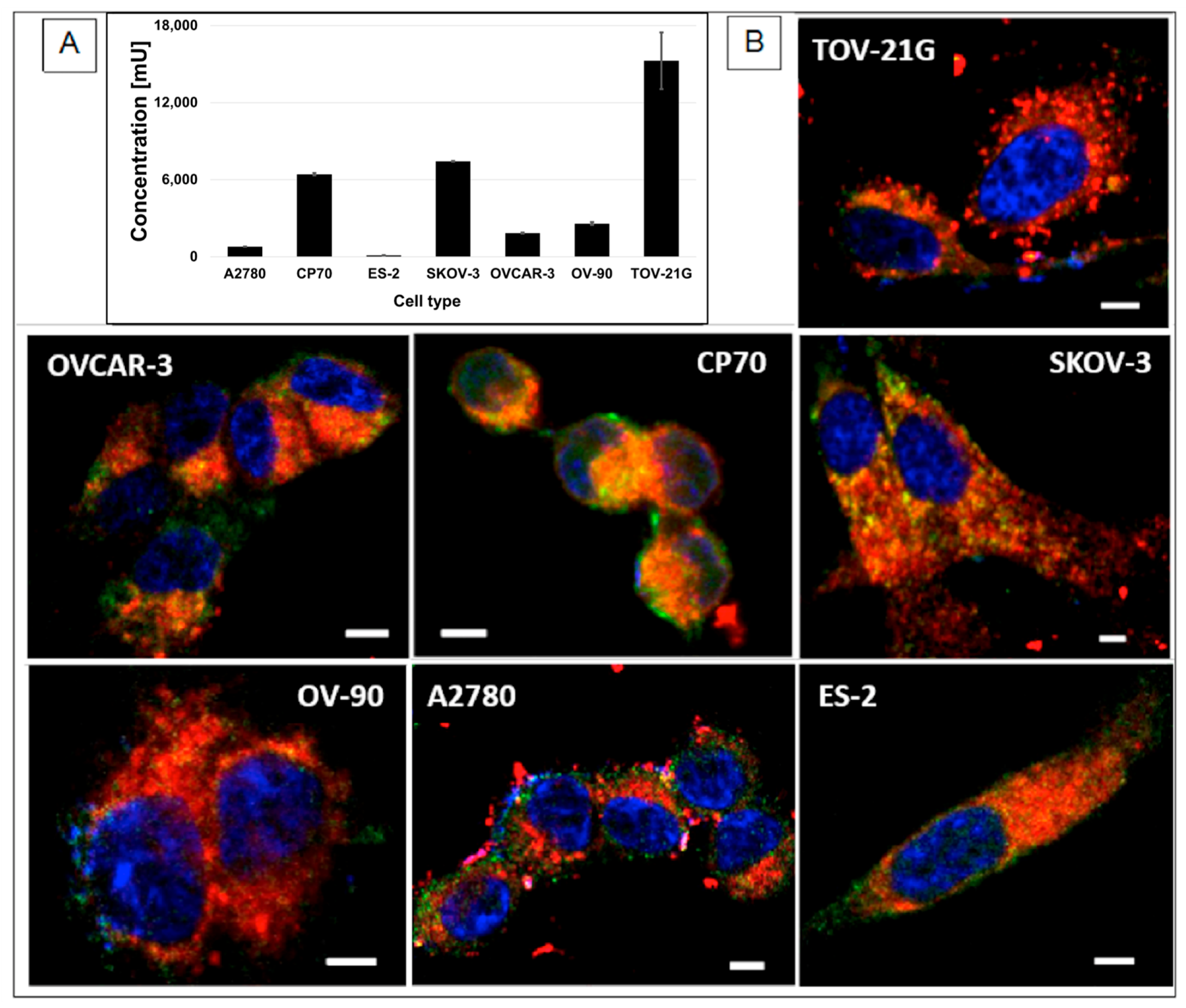 Pharmaceutics 15 00607 g004