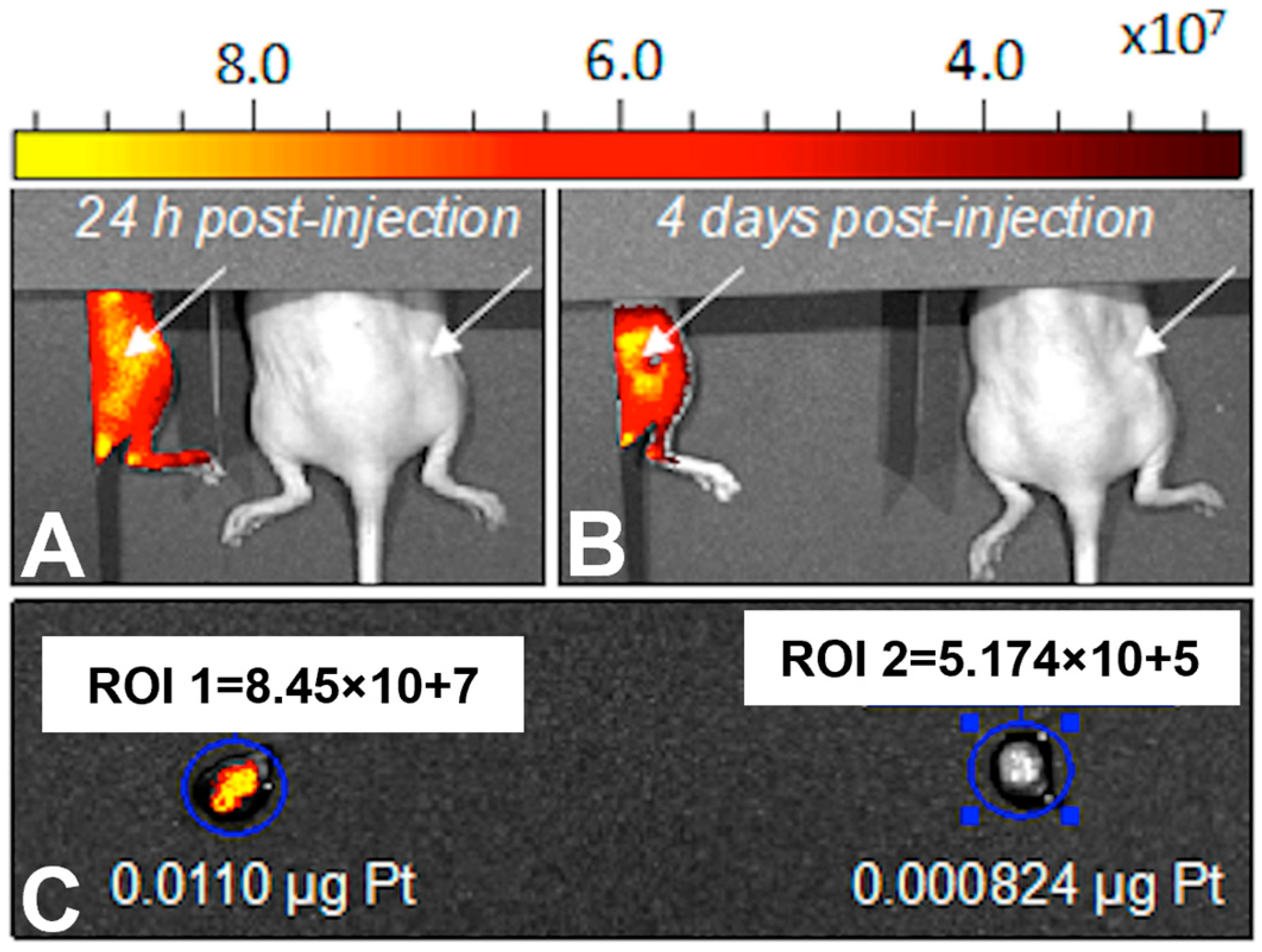 Pharmaceutics 15 00607 g008