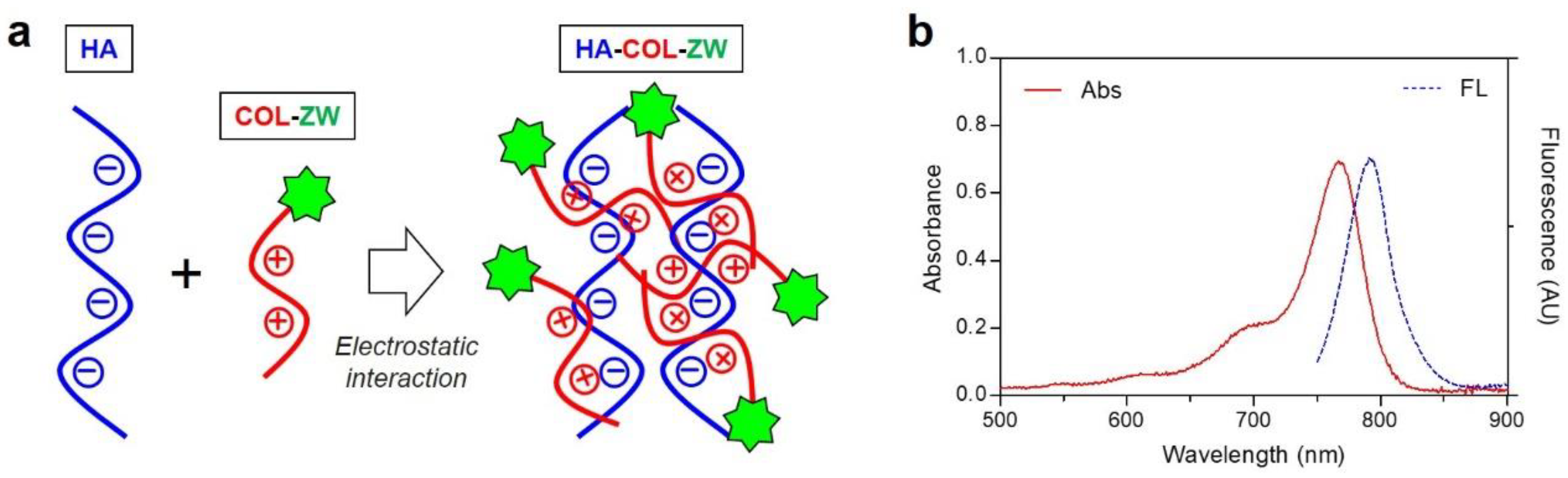Pharmaceutics 15 00613 g002