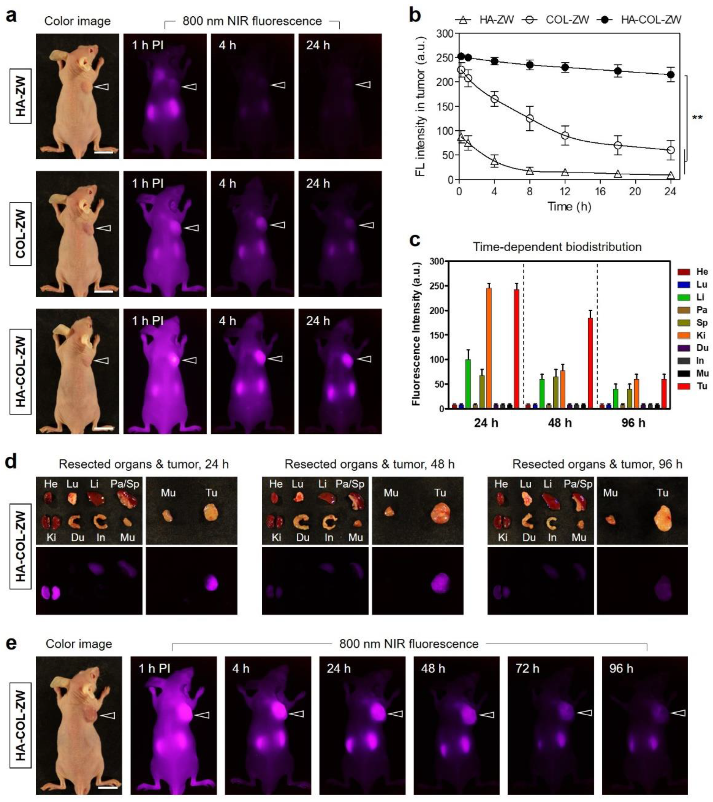 Pharmaceutics 15 00613 g006