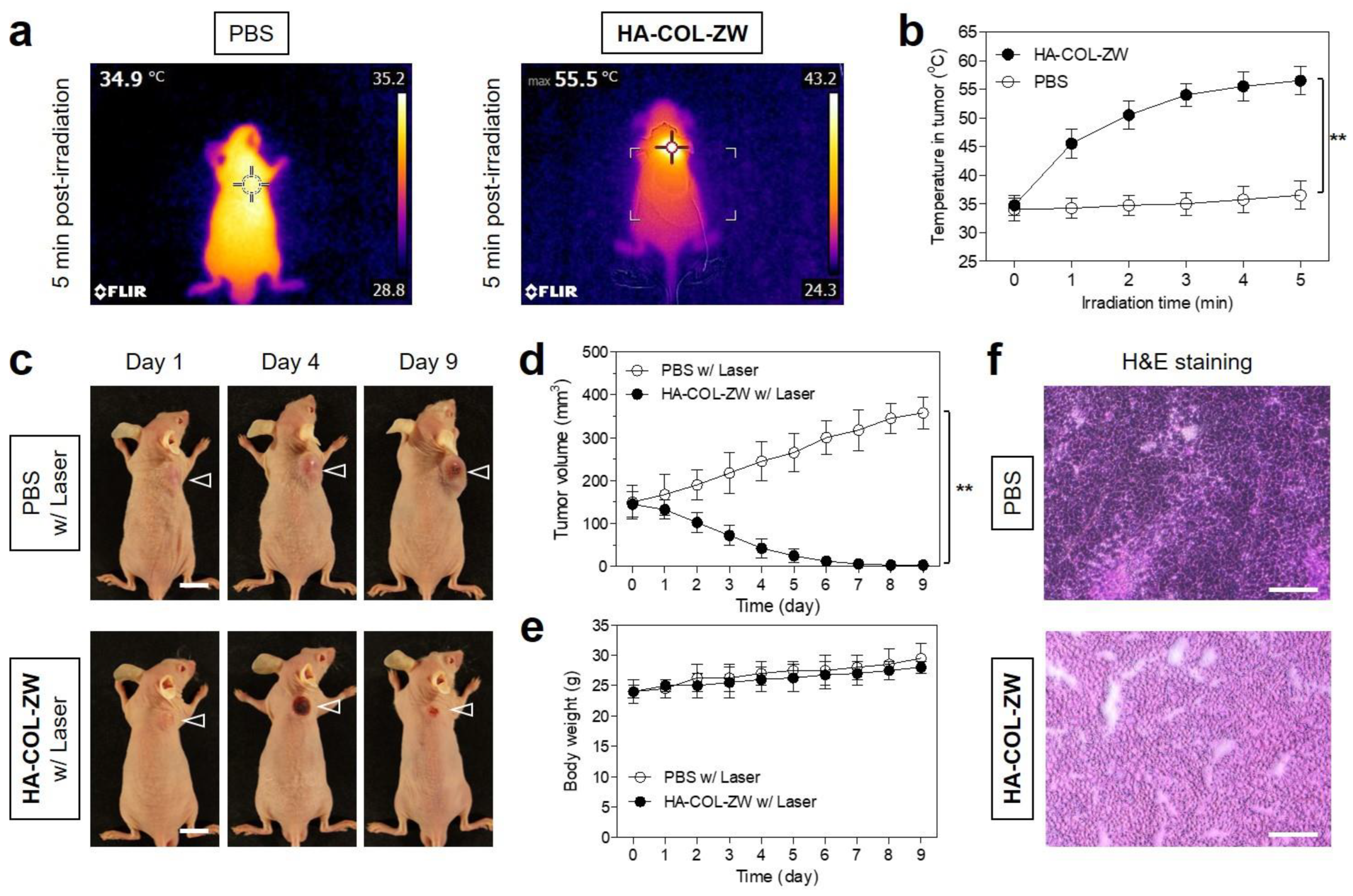 Pharmaceutics 15 00613 g007