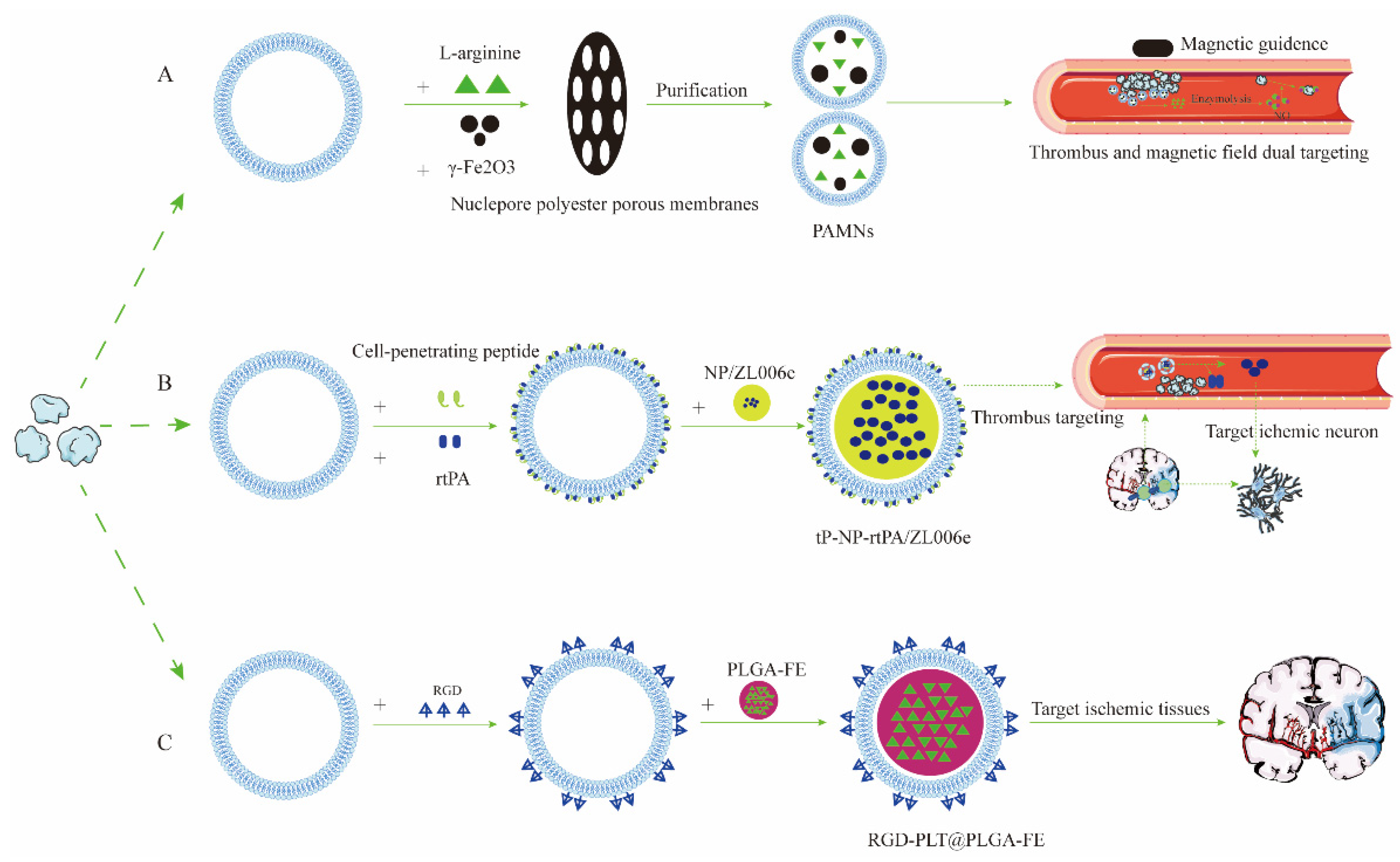 Pharmaceutics 15 00621 g002 Pharmaceutics 15 00621 g002