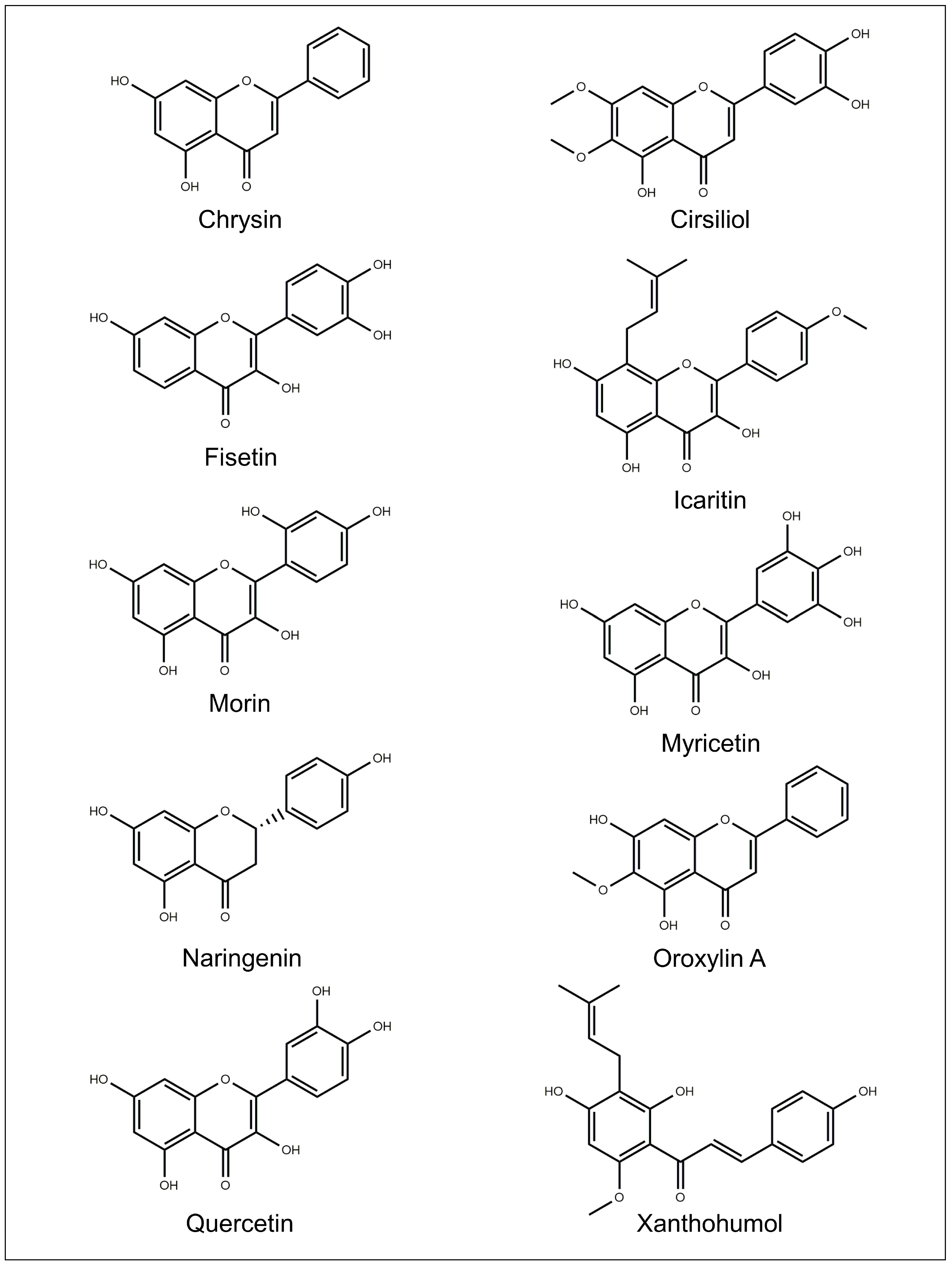 Pharmaceutics 15 00628 g007 Pharmaceutics 15 00628 g007
