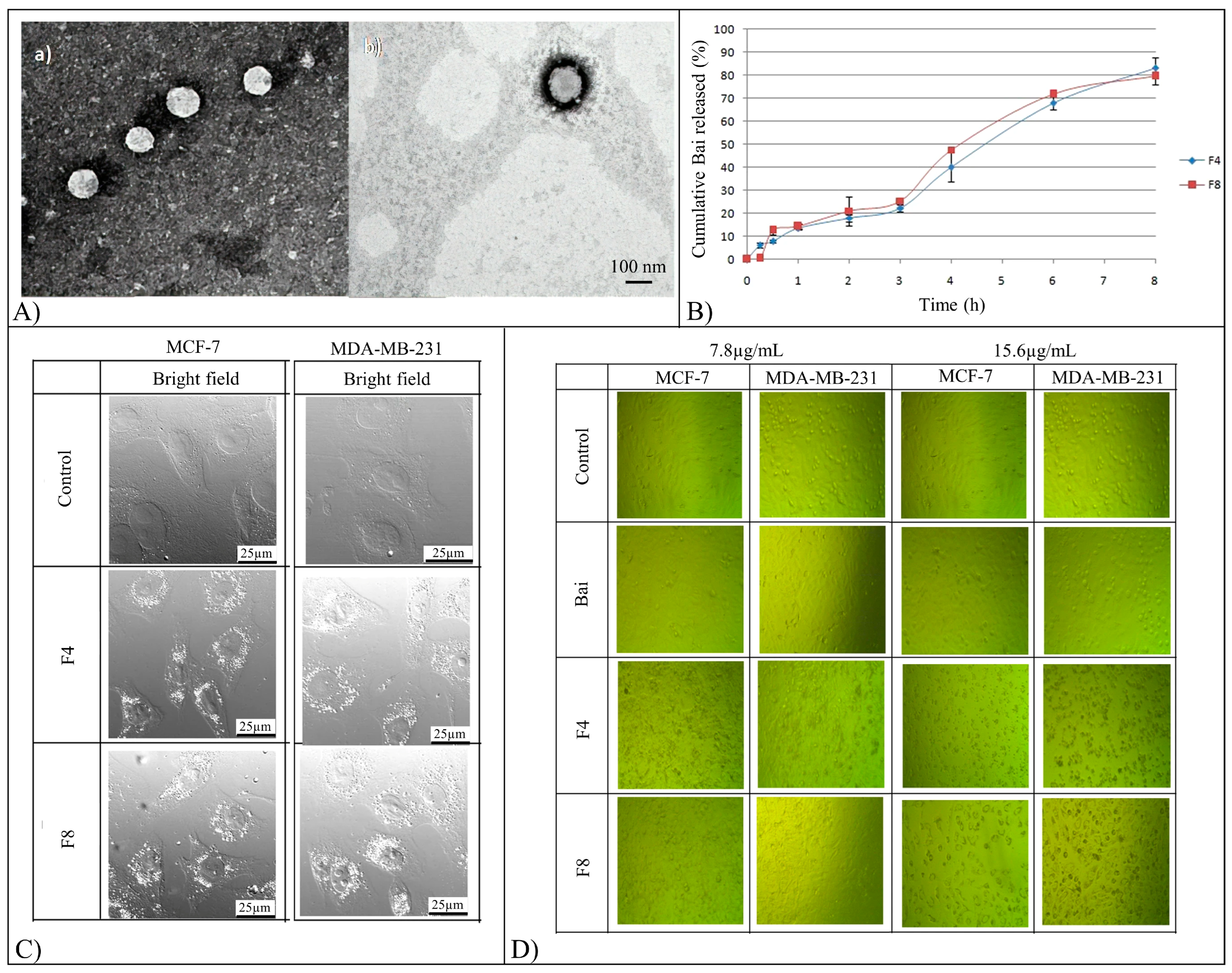 Pharmaceutics 15 00628 g009 Pharmaceutics 15 00628 g009