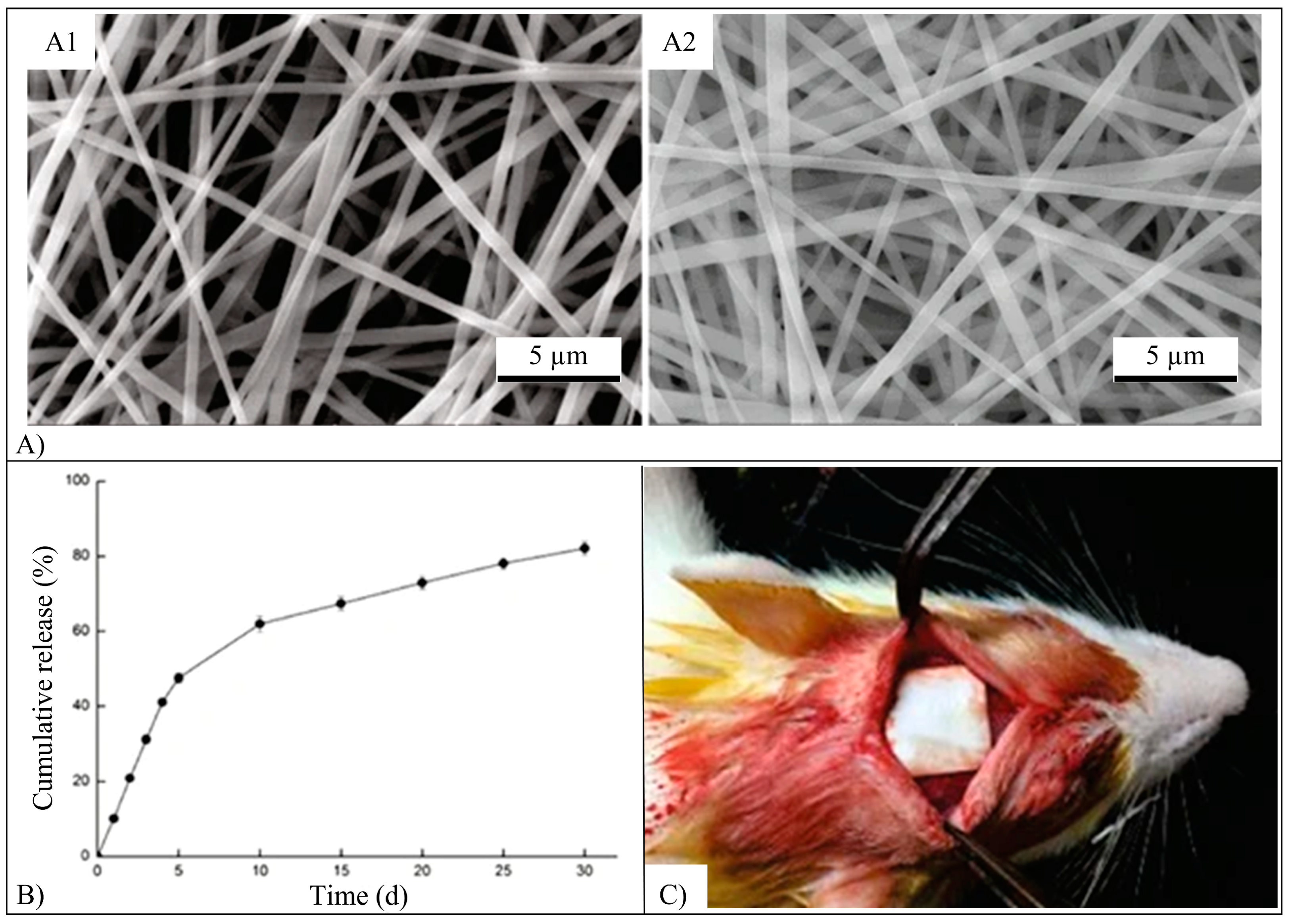 Pharmaceutics 15 00628 g014 Pharmaceutics 15 00628 g014