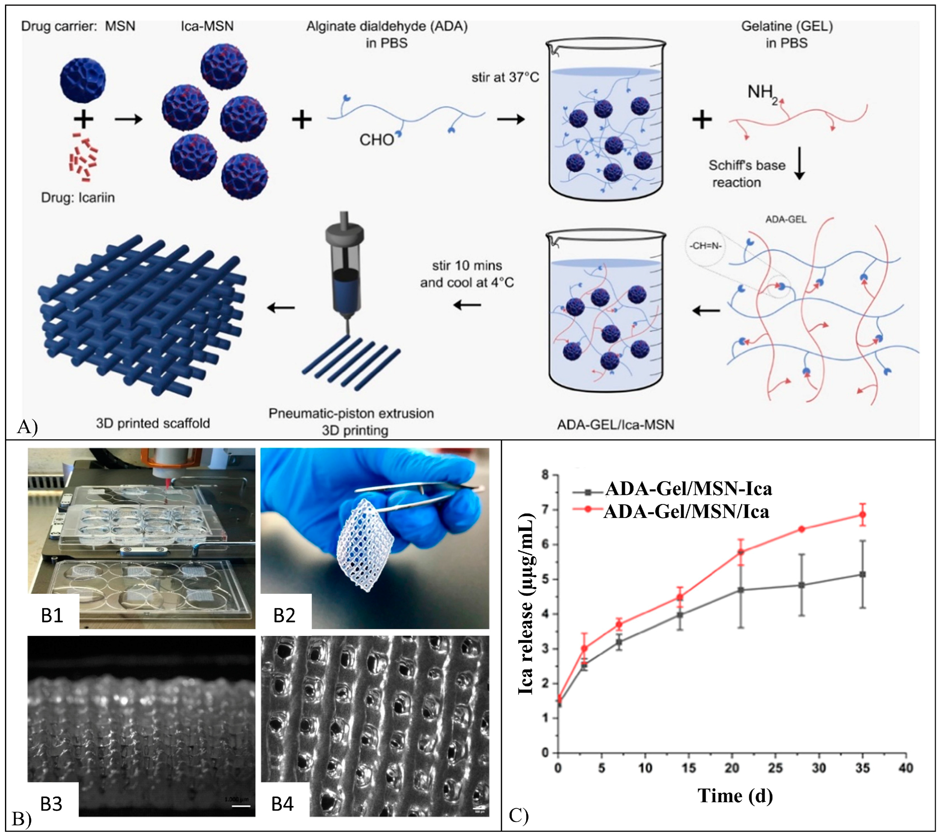 Pharmaceutics 15 00628 g015 Pharmaceutics 15 00628 g015